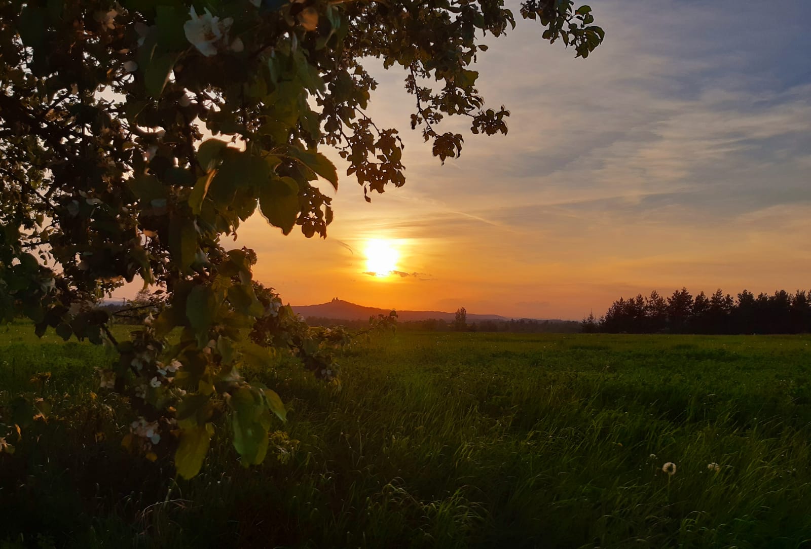 Camping Český ráj foto 4