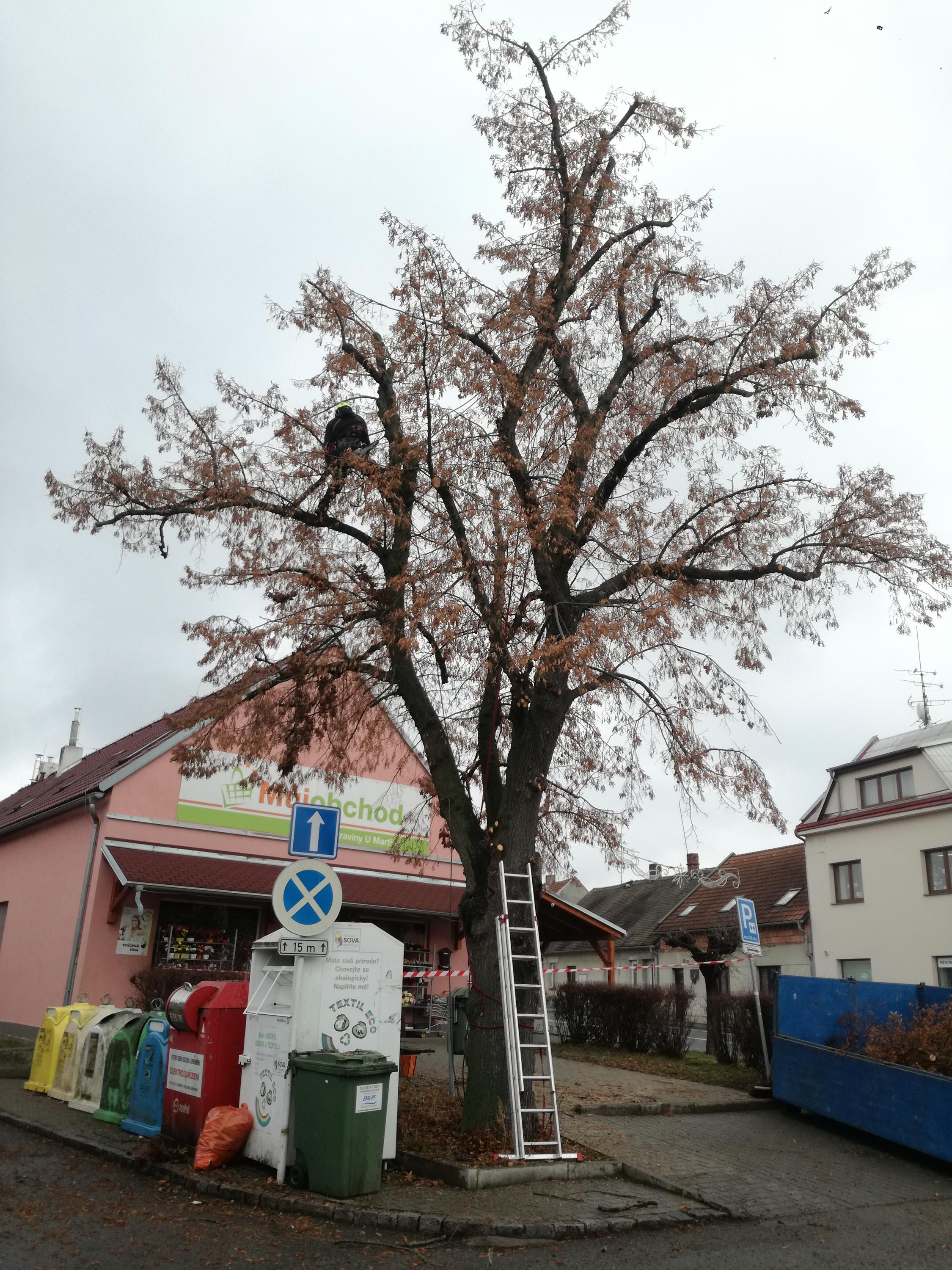 ŘEŽUSTROMY.CZ foto 5
