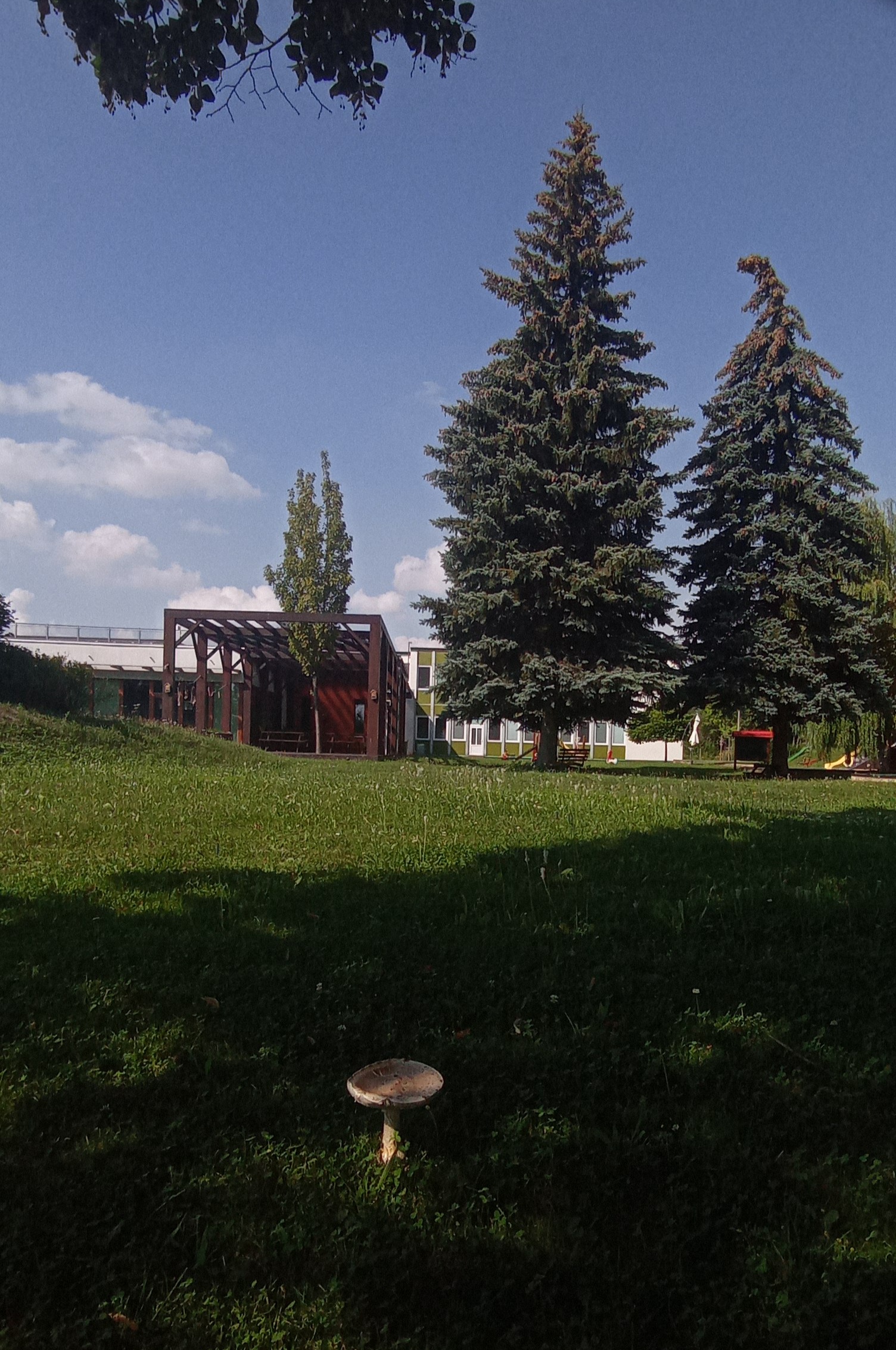 MŠ Čtyřlístek Lysá nad Labem foto 4