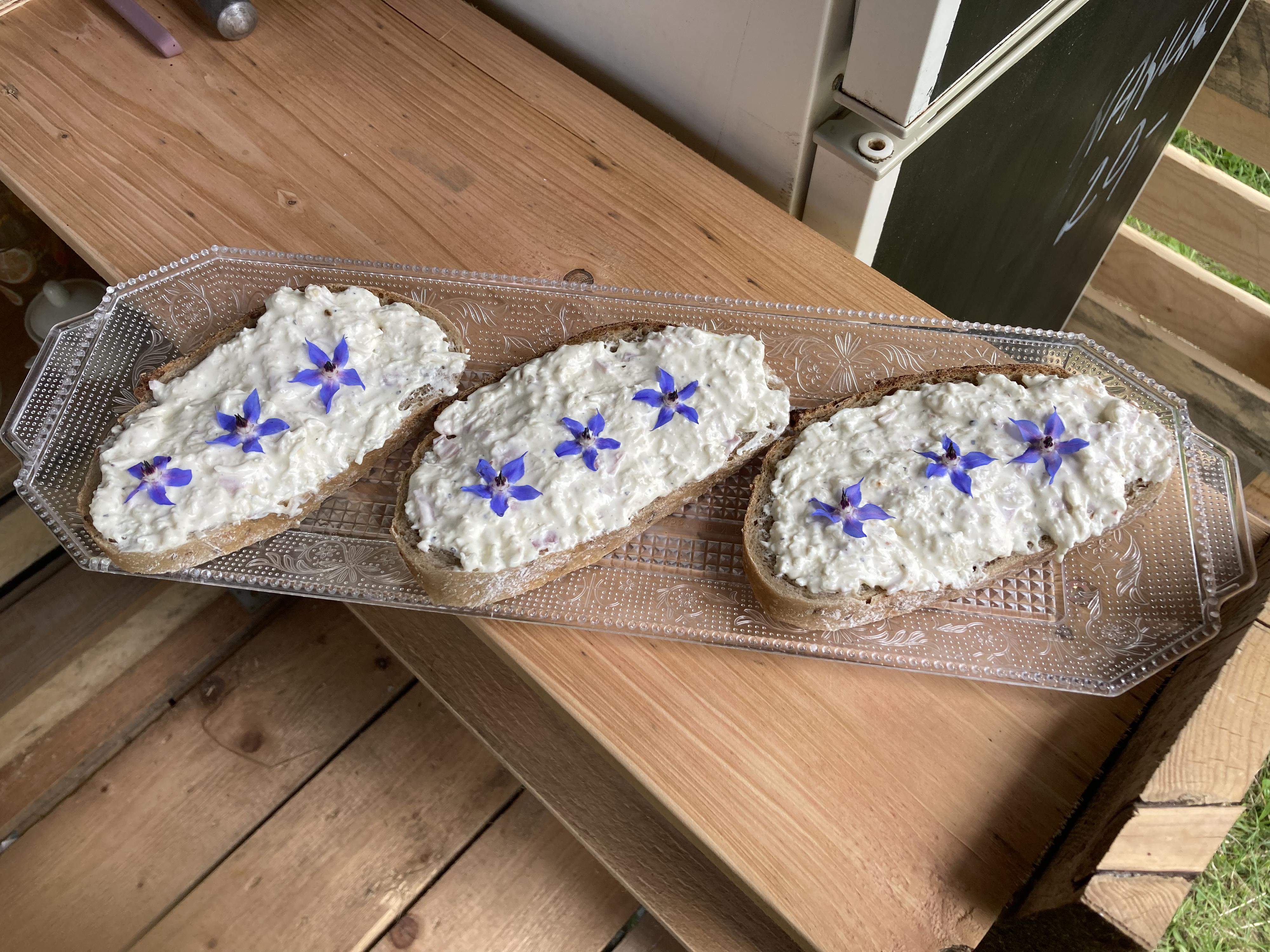 Osvěžovna pod lípou foto 4