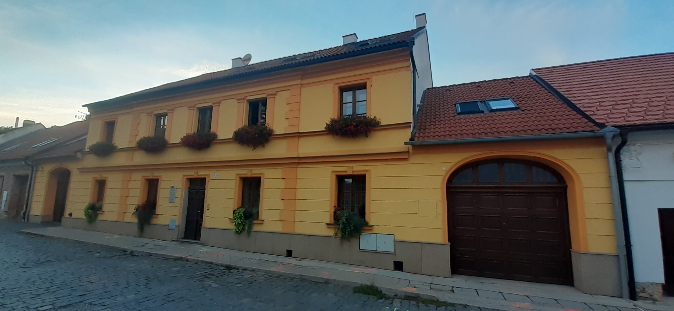 Květinářství Žlutý tulipán foto 4