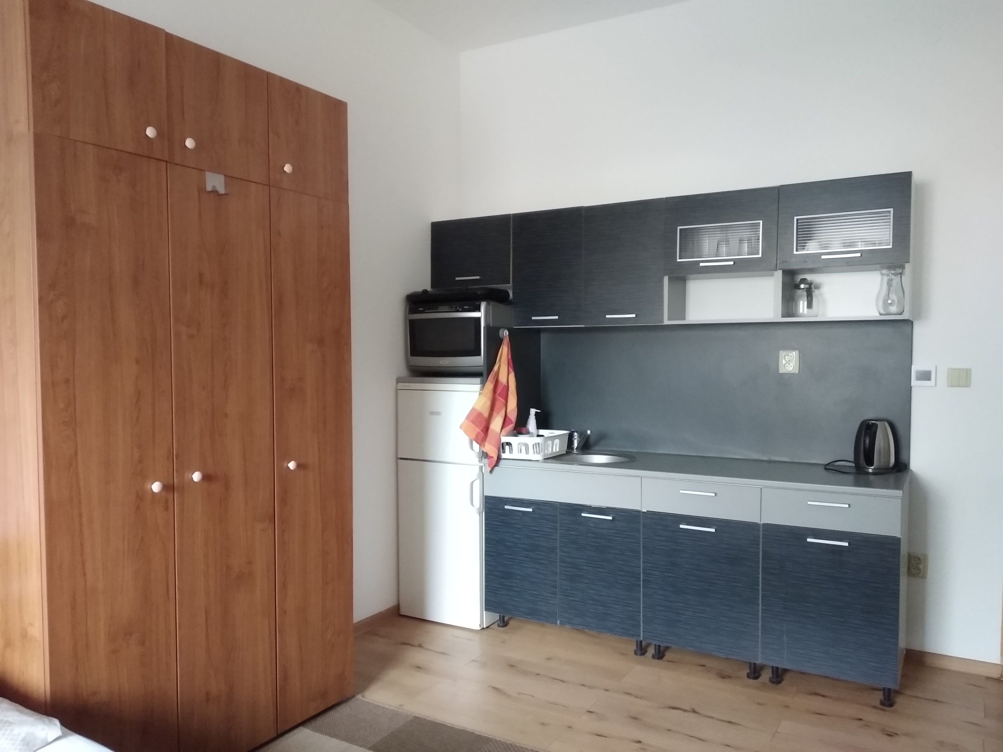 Ubytování v soukromí Opolany u Poděbrad foto 5