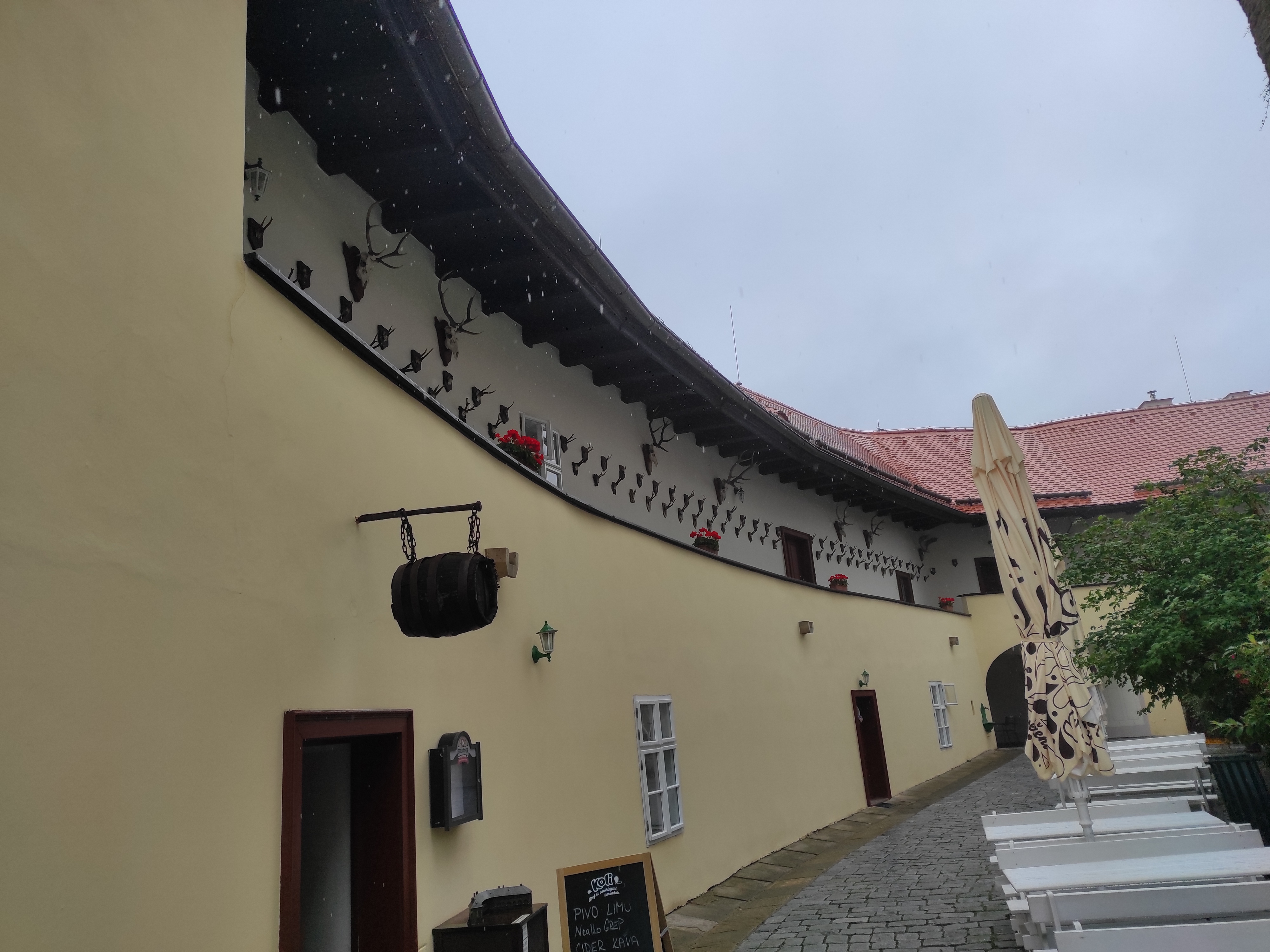 Ubytování Hrad Svojanov foto 5