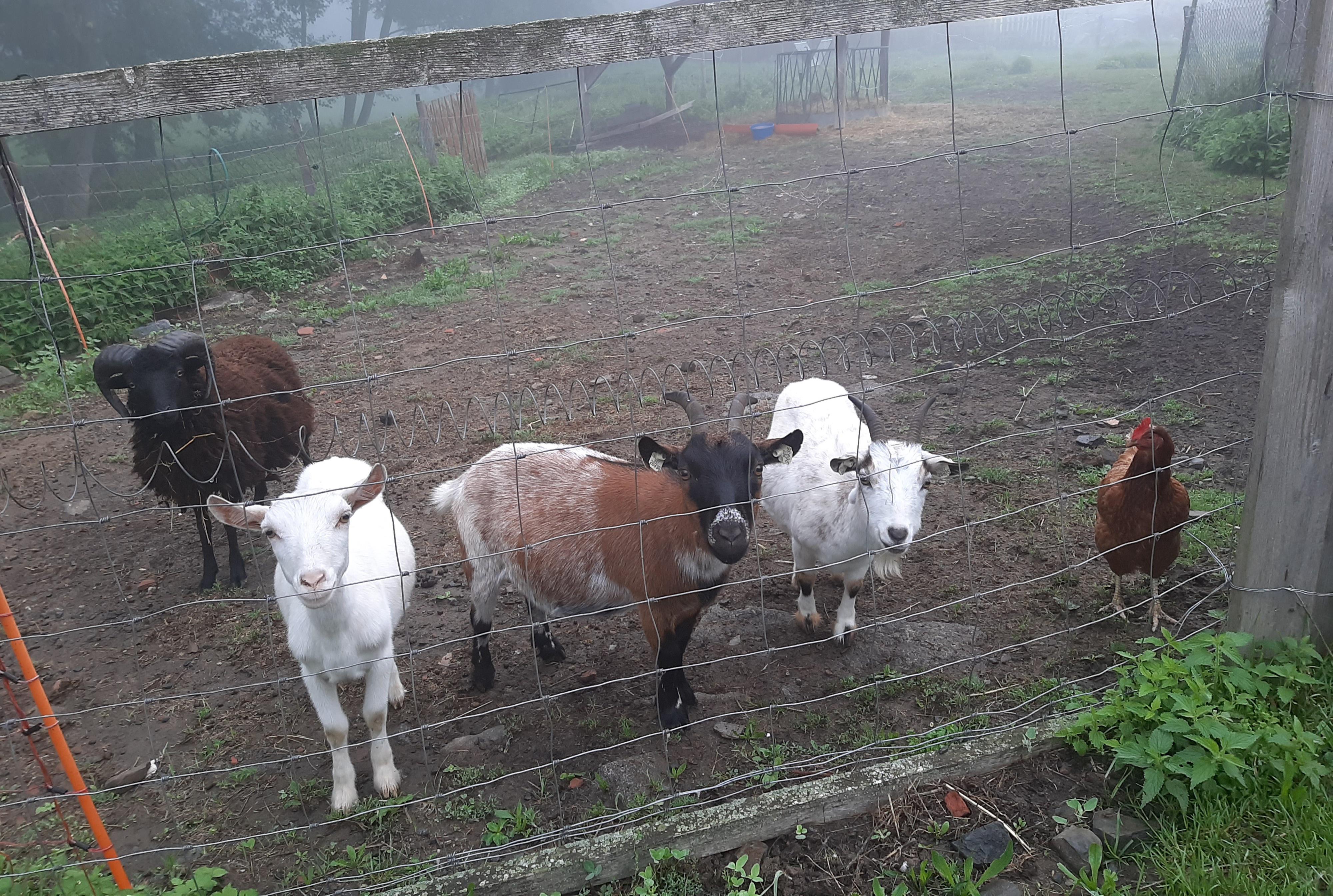 Apartmán u Lochů foto 6