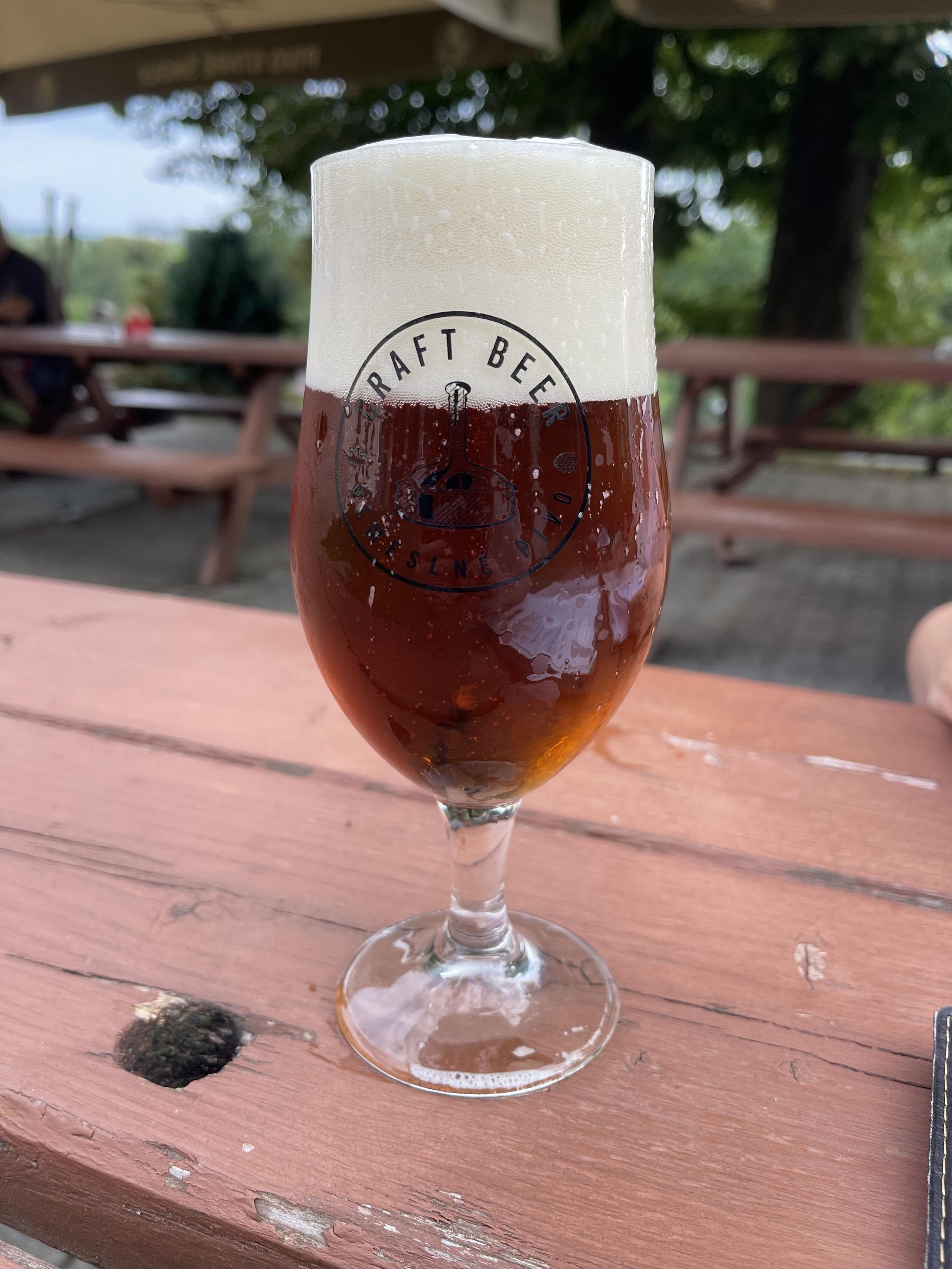 Restaurace Myslivna foto 3