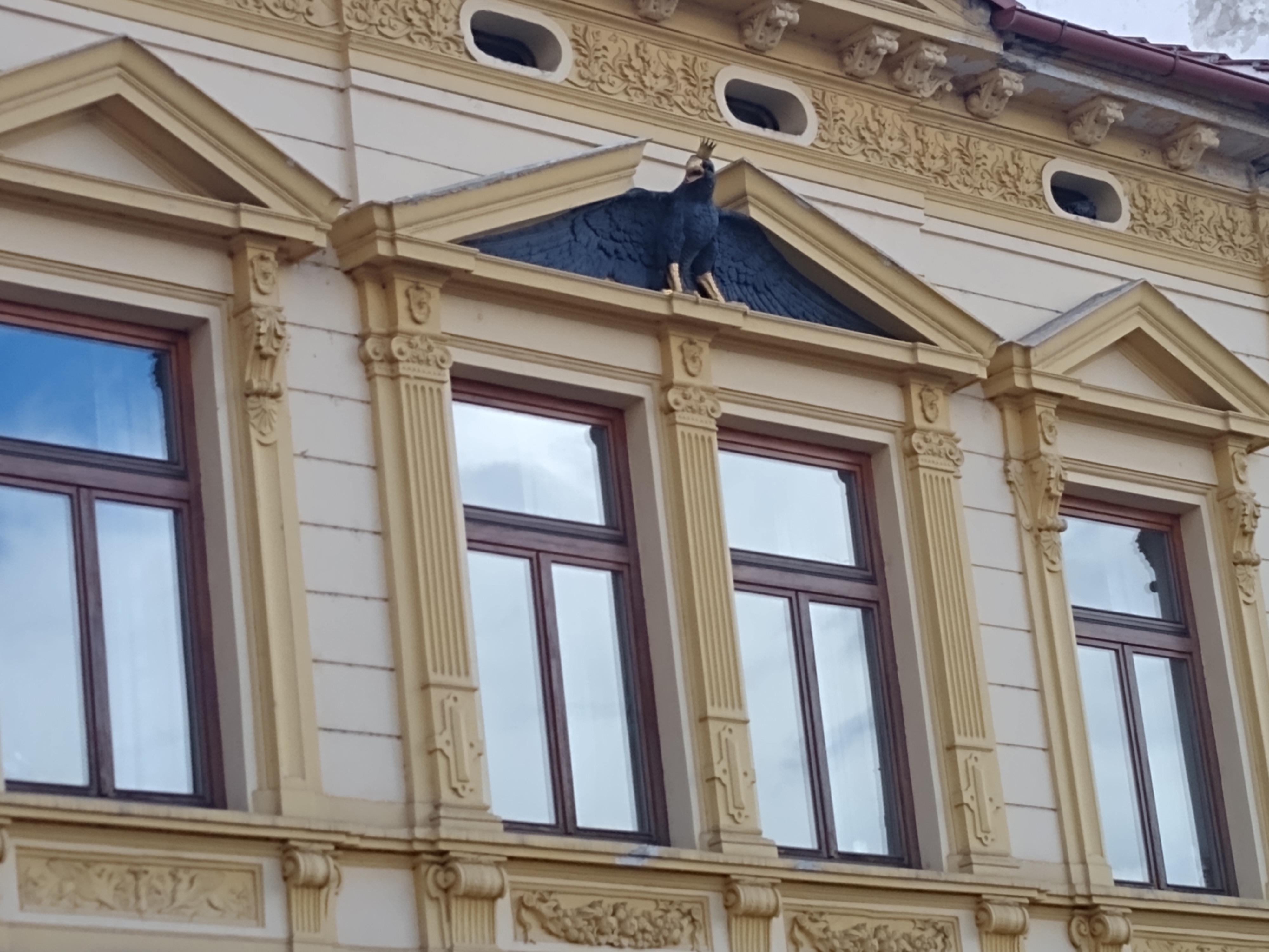 Lékárna U Černého orla foto 3