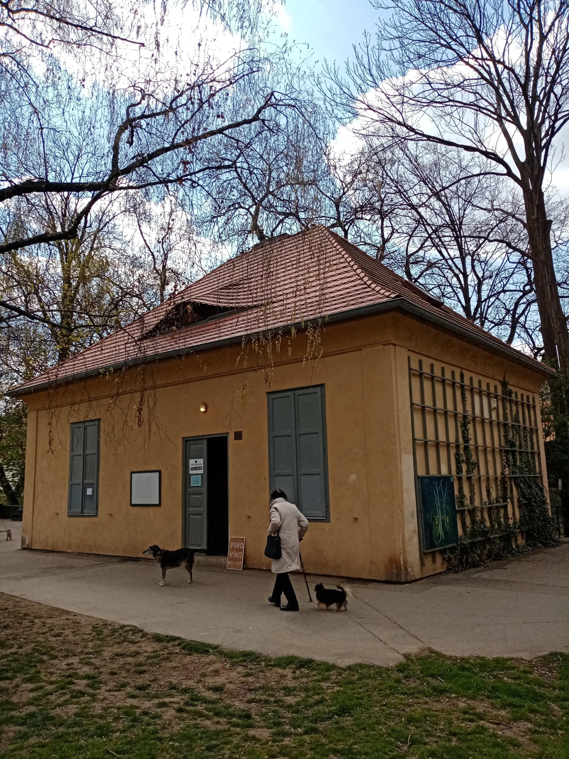 Komunitní centrum Kampa - Salla Terena foto 4