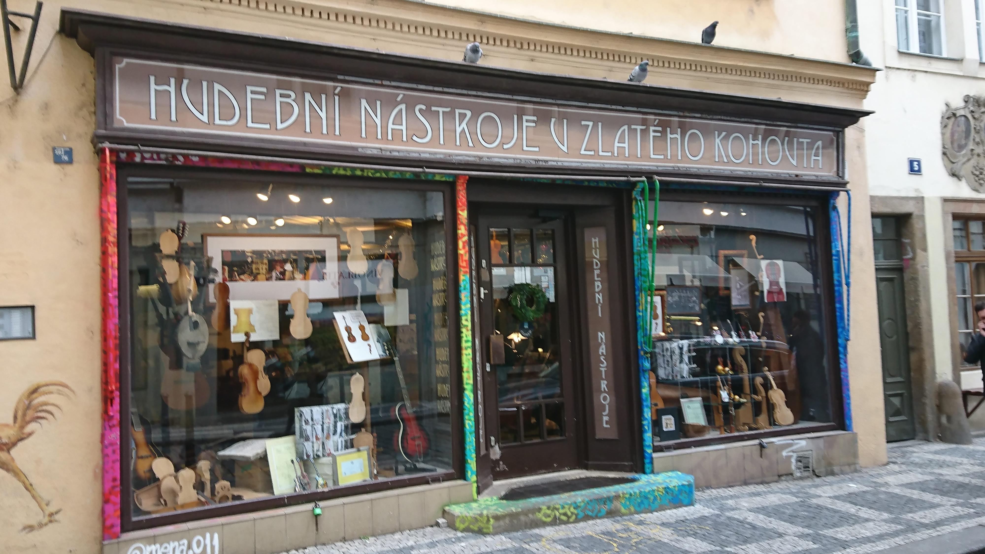 Violin Hron foto 4