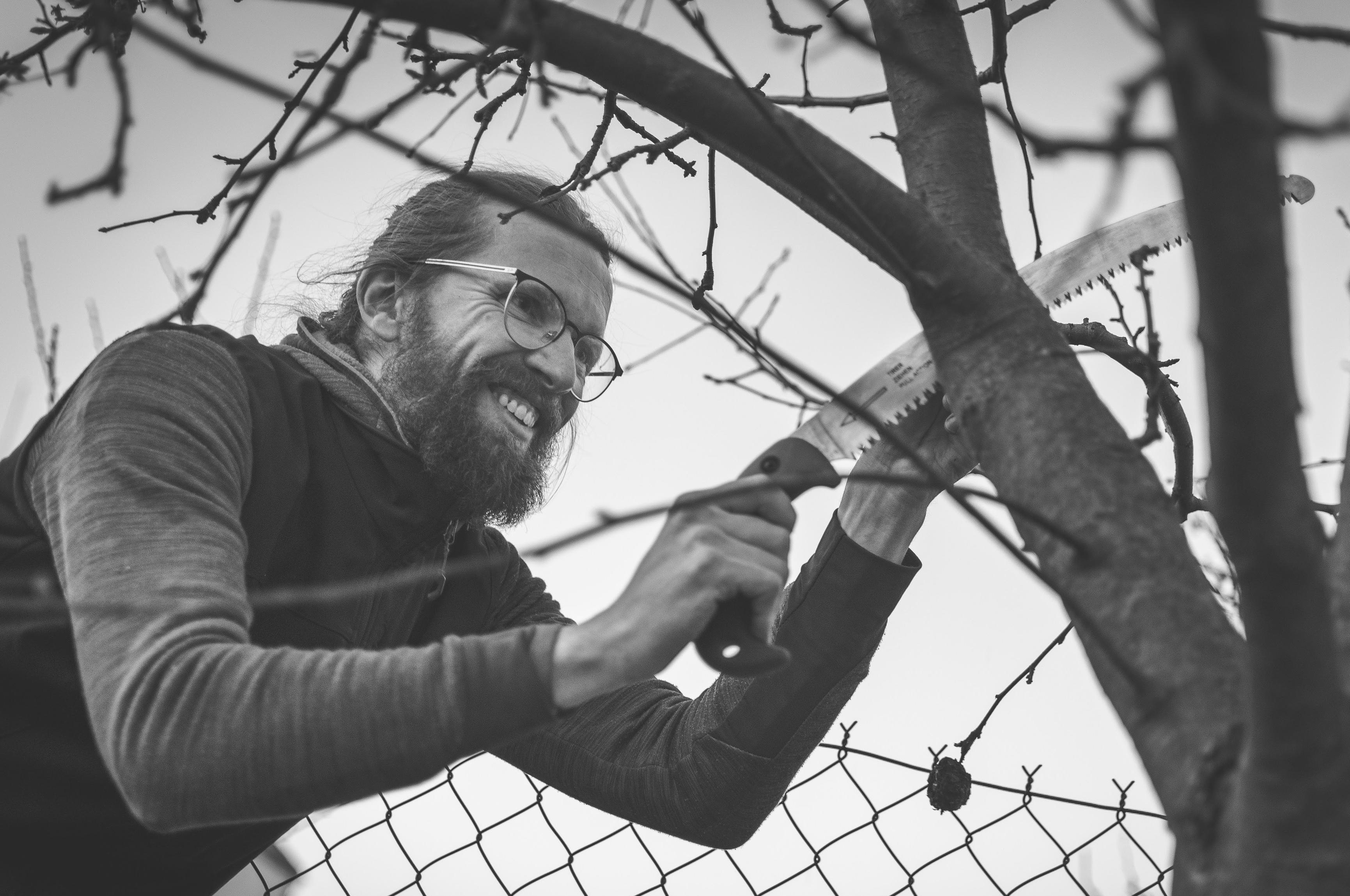 RNDr. Jan Šamánek, MSc. - Řez ovocných stromů foto 1