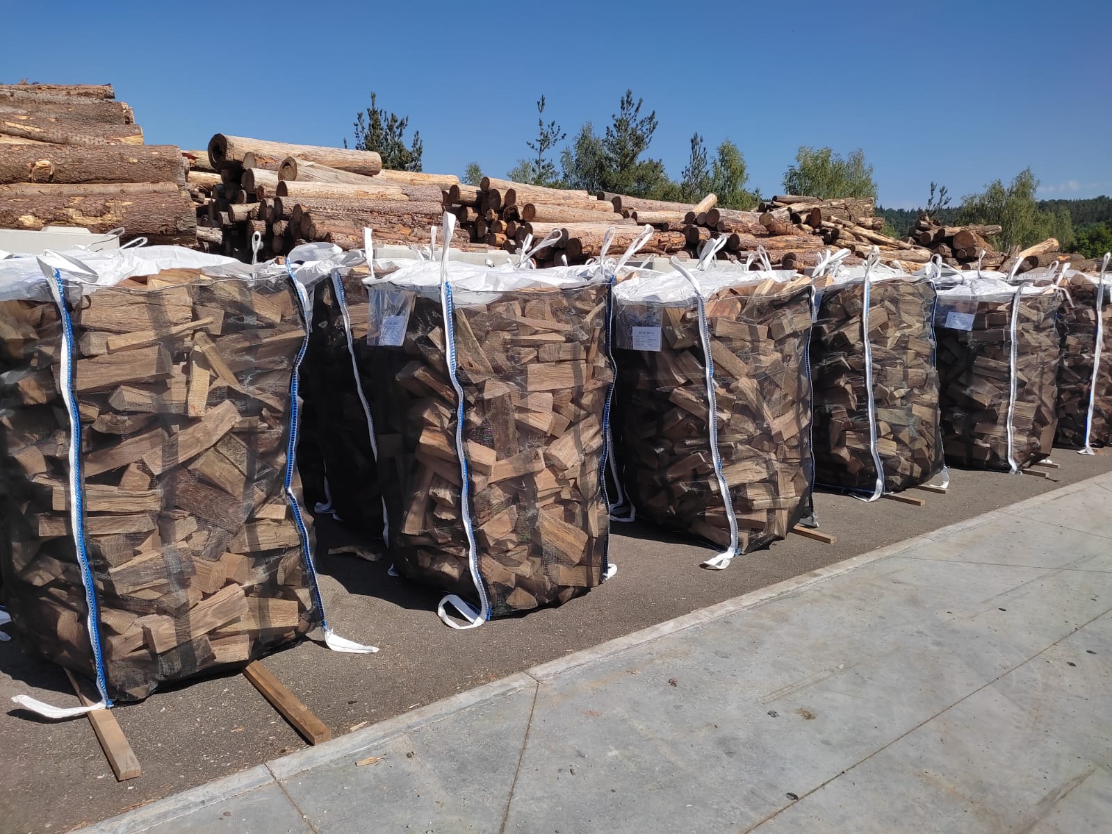 Alnus Timber s.r.o. foto 3