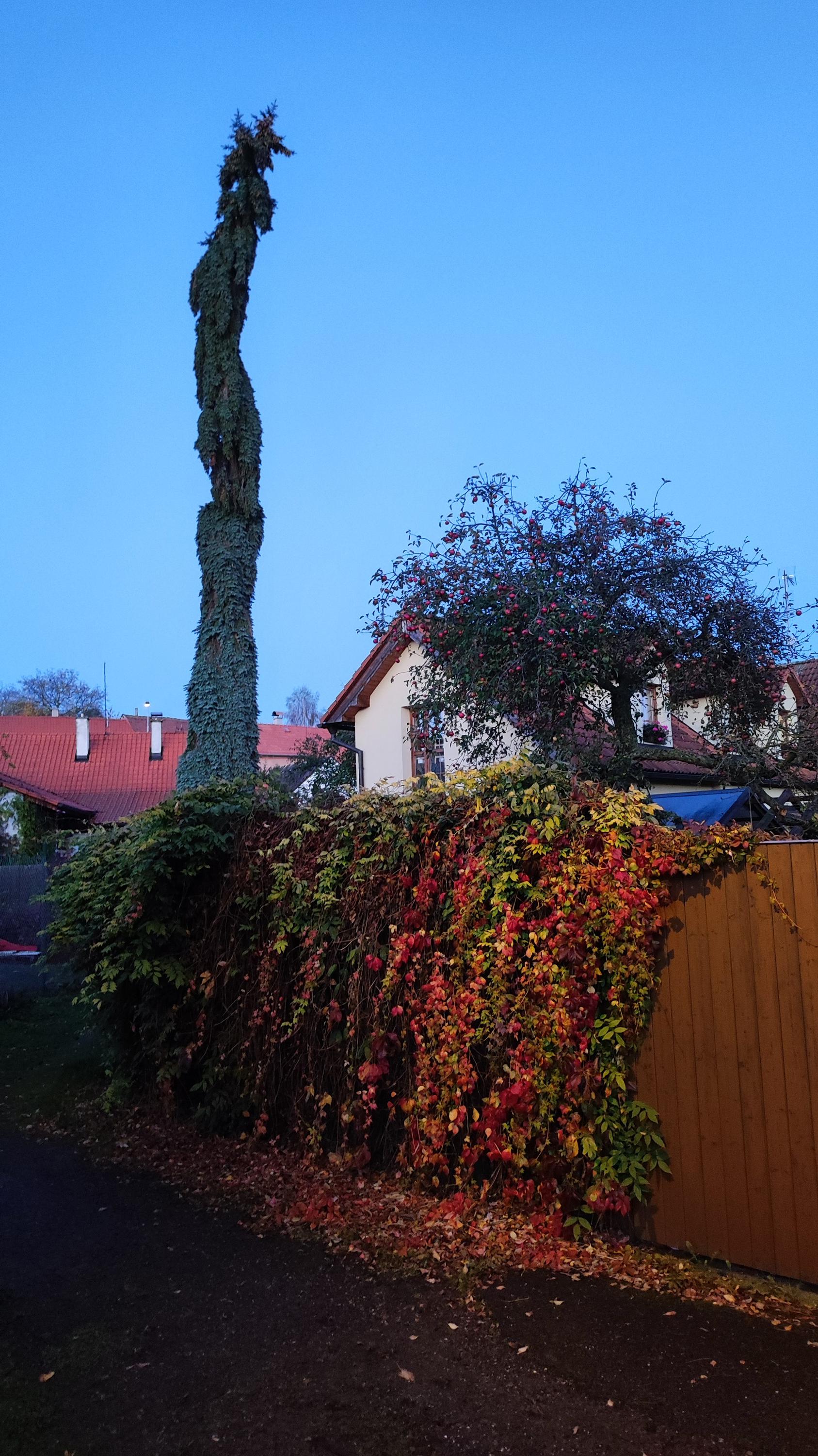 Zahradnictví Hubert foto 2