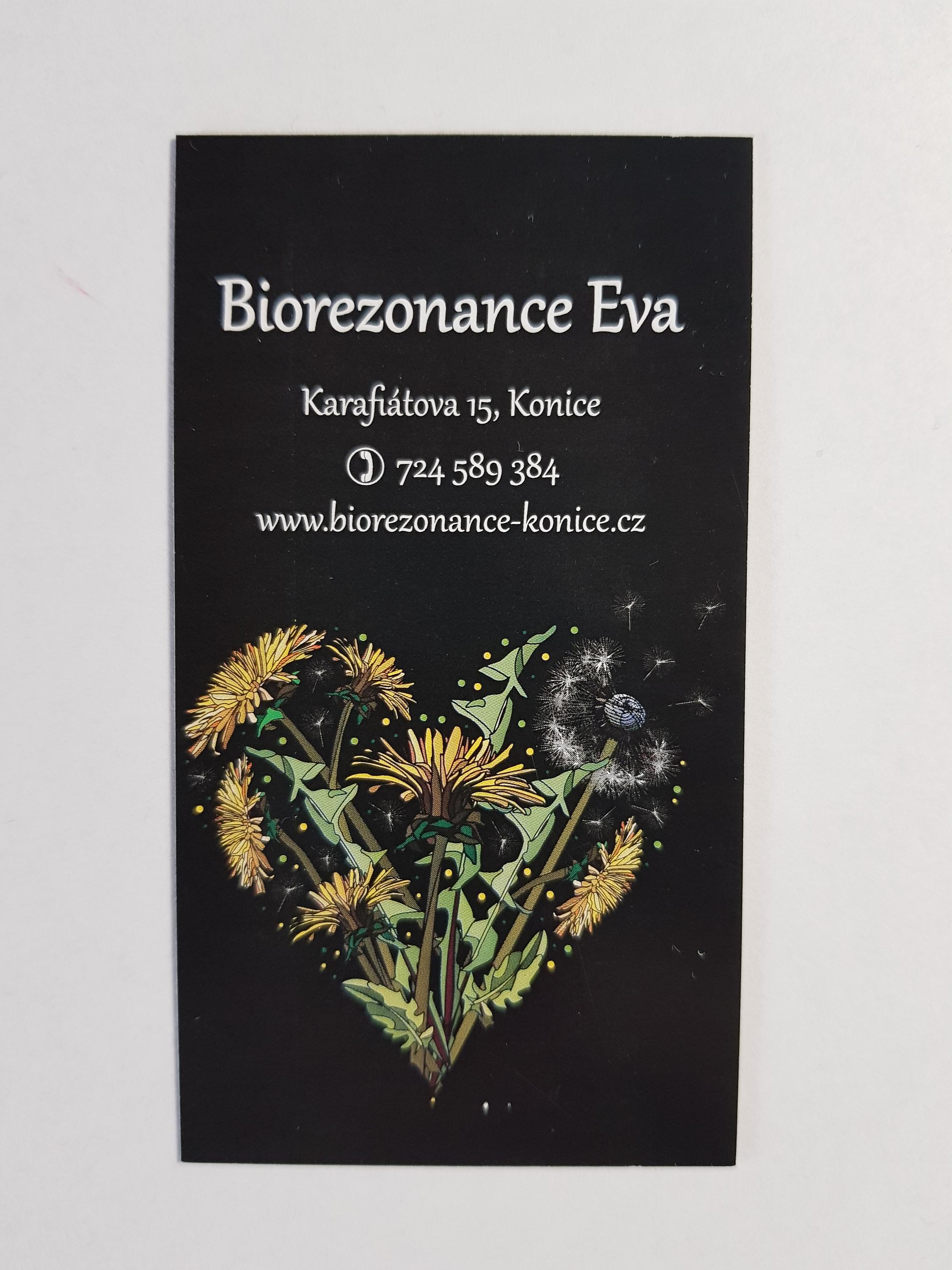 Biorezonance Eva foto 4