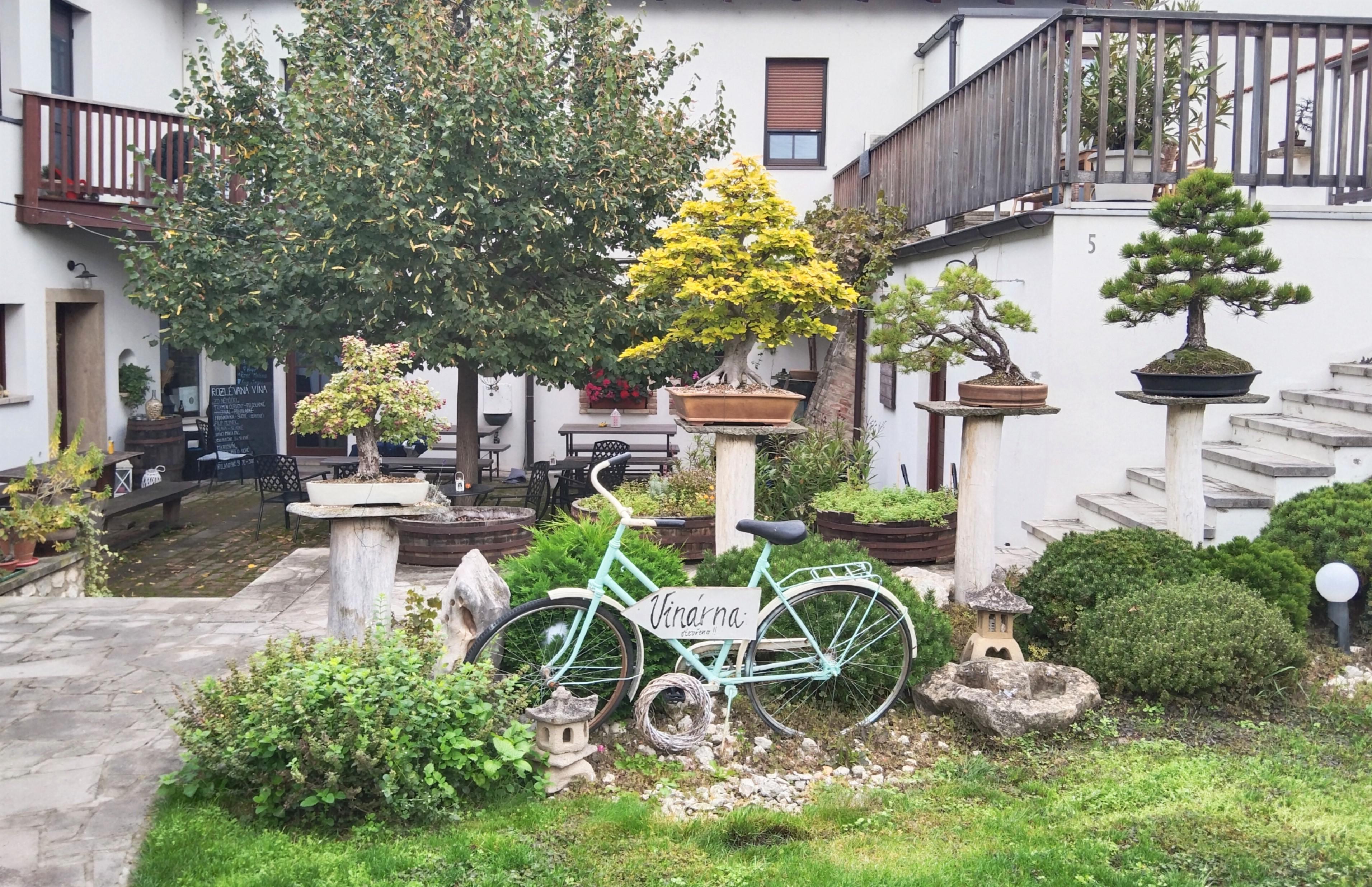 Vinárna Bonsai