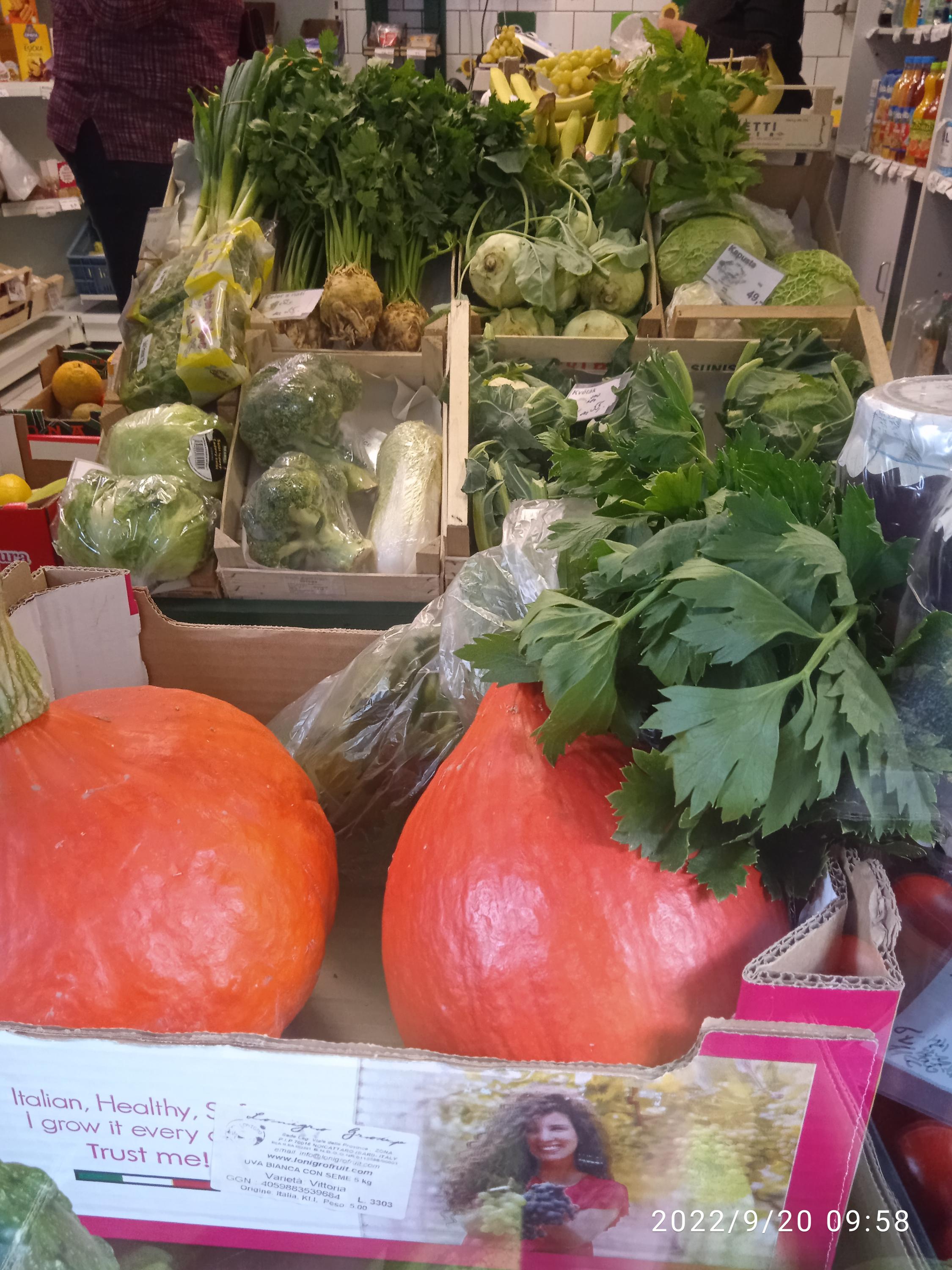 Zelo - Roman Kopal foto 4