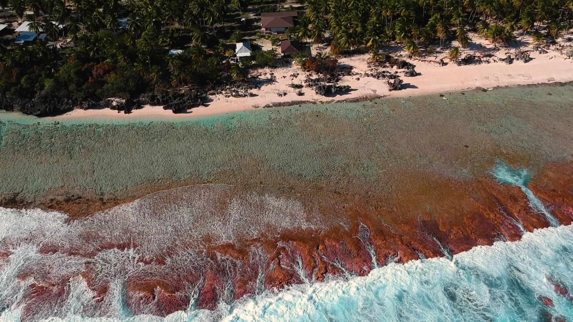 CK AVETOUR s.r.o. foto 2 (náhled videa)