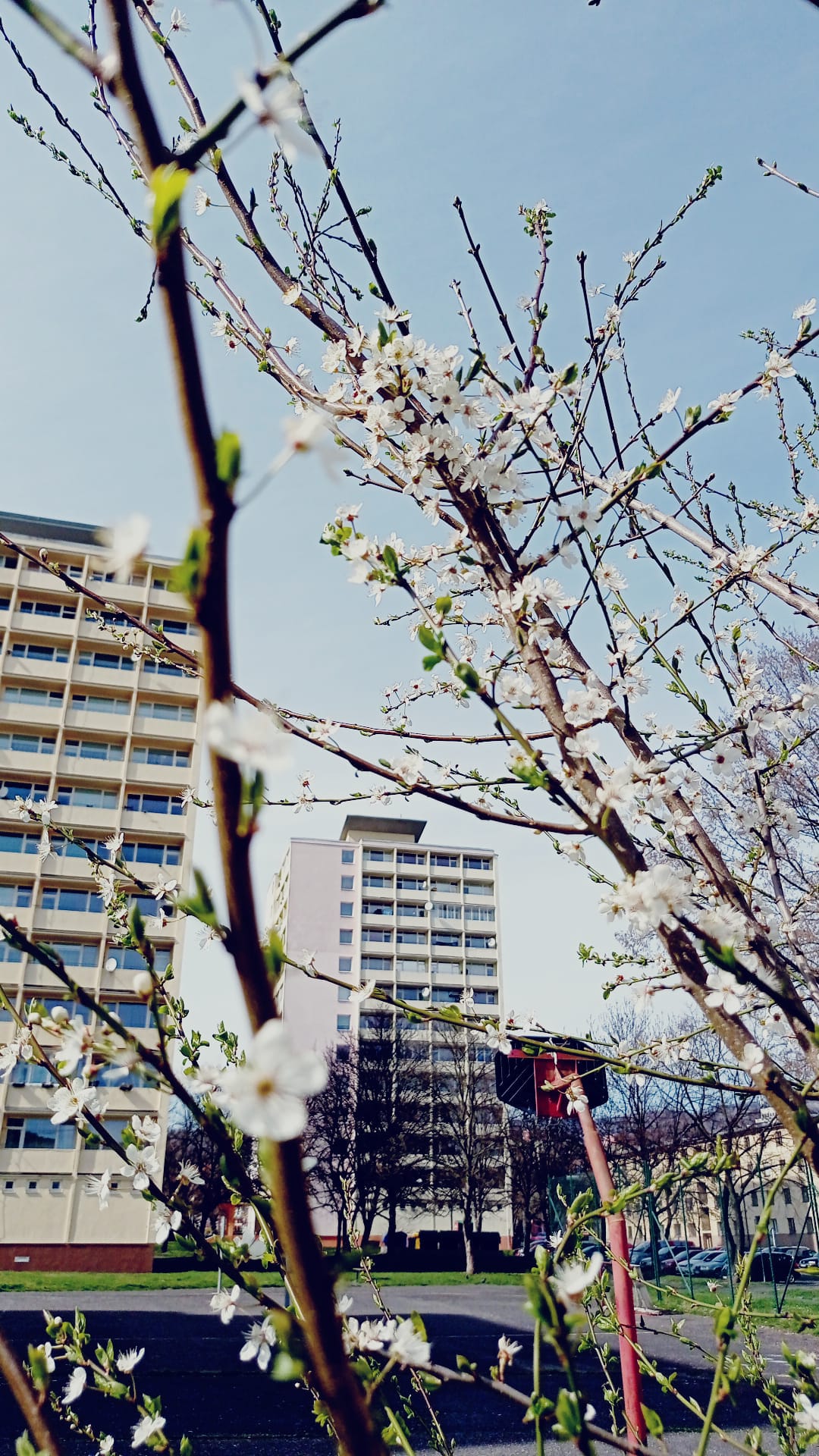 SVJ Mostecká č.p. 2021 foto 3