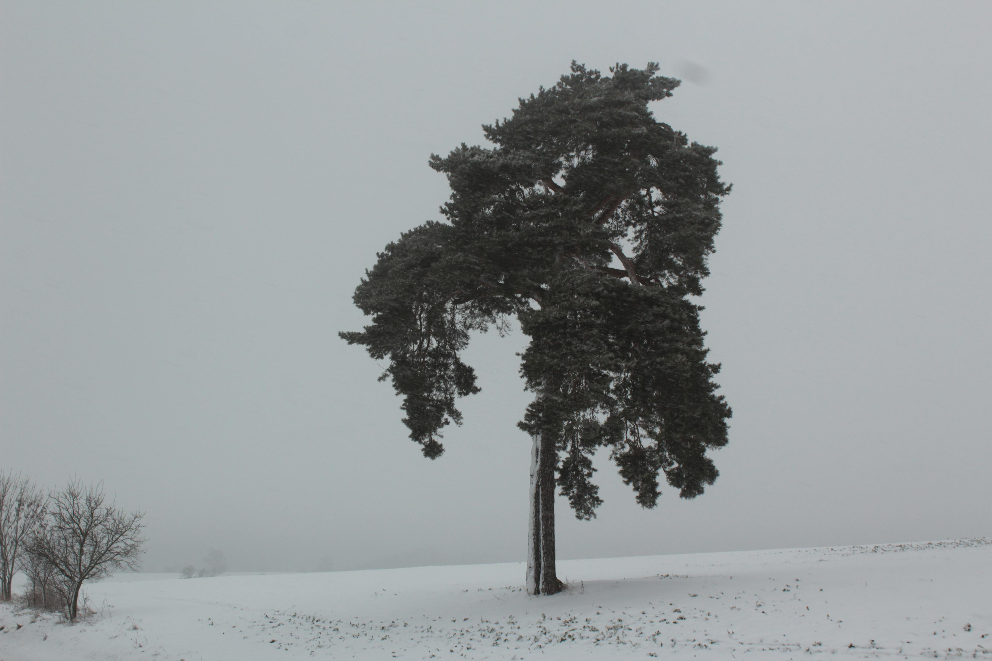 Bedřich Kříž foto 5