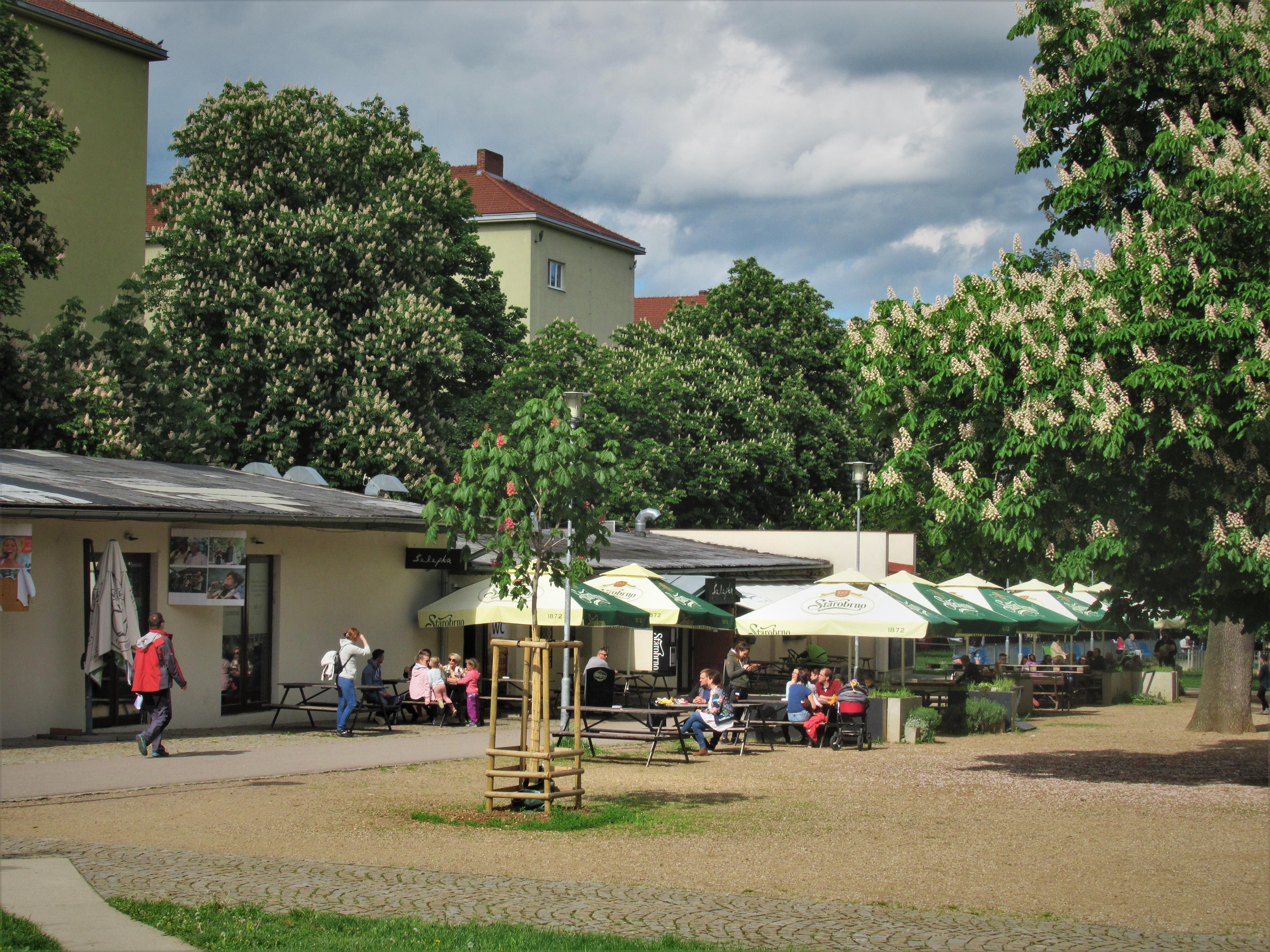 Restaurace Šelepka foto 6
