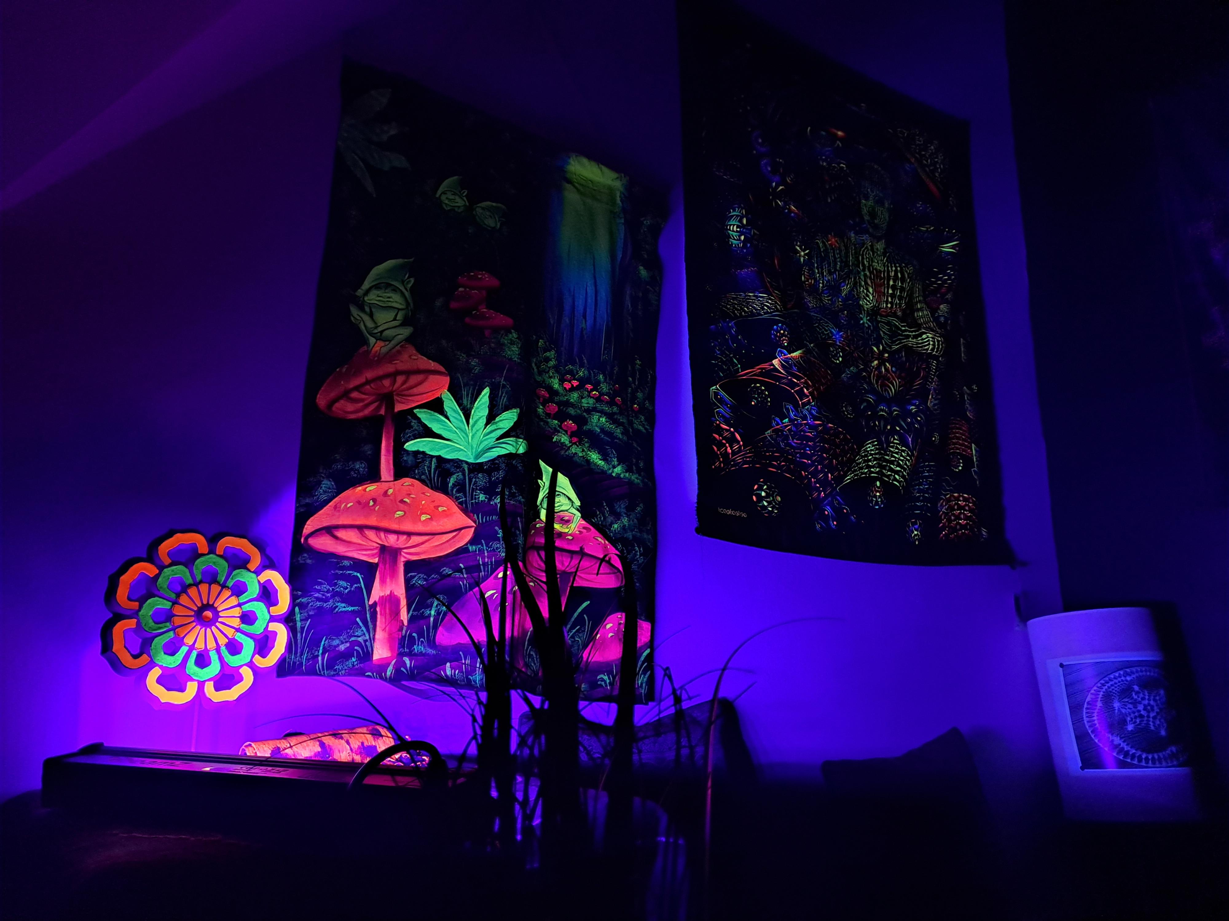 ShanTea - čajovna a kavárna foto 5