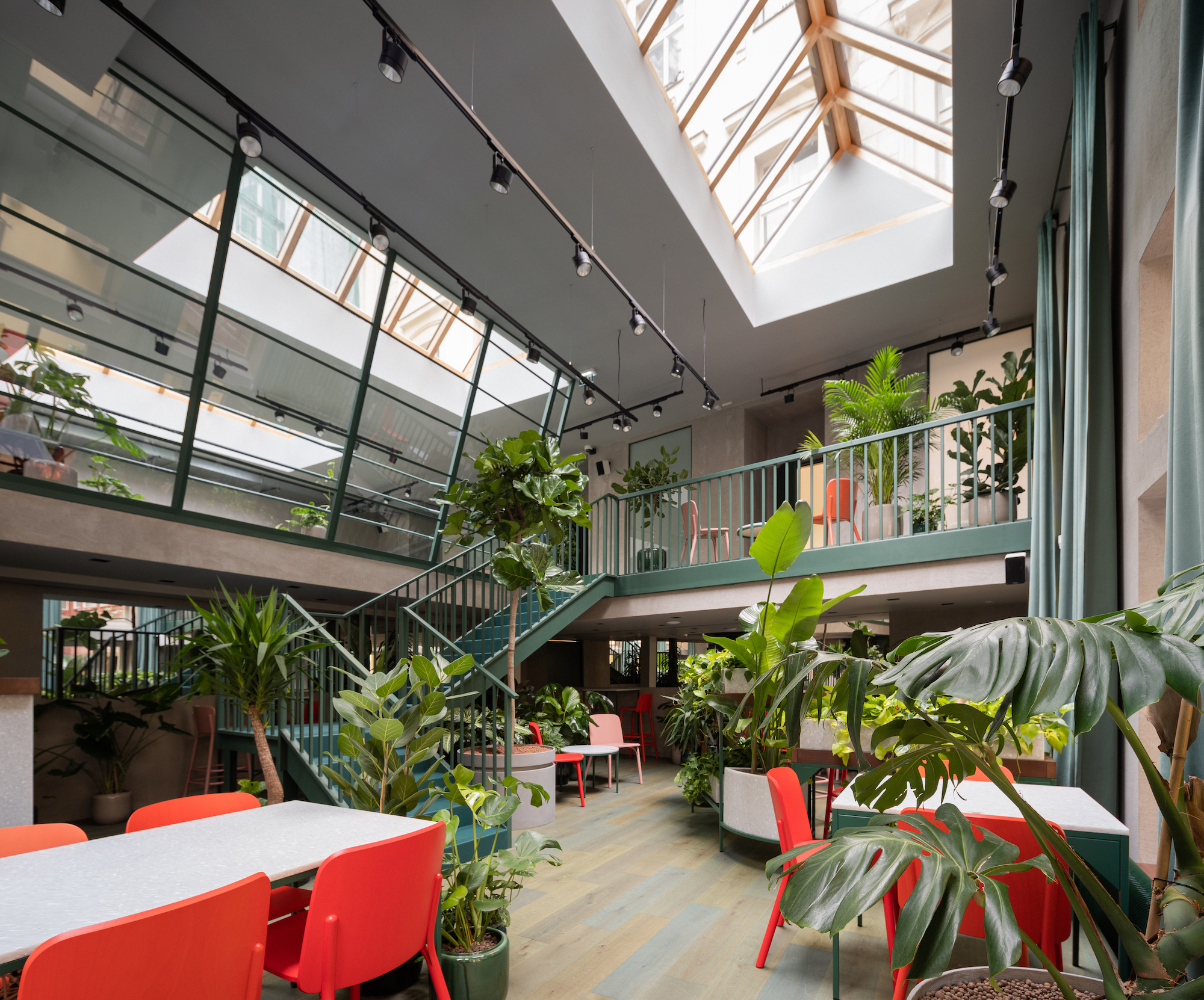 Healthy Longevity Café foto 3