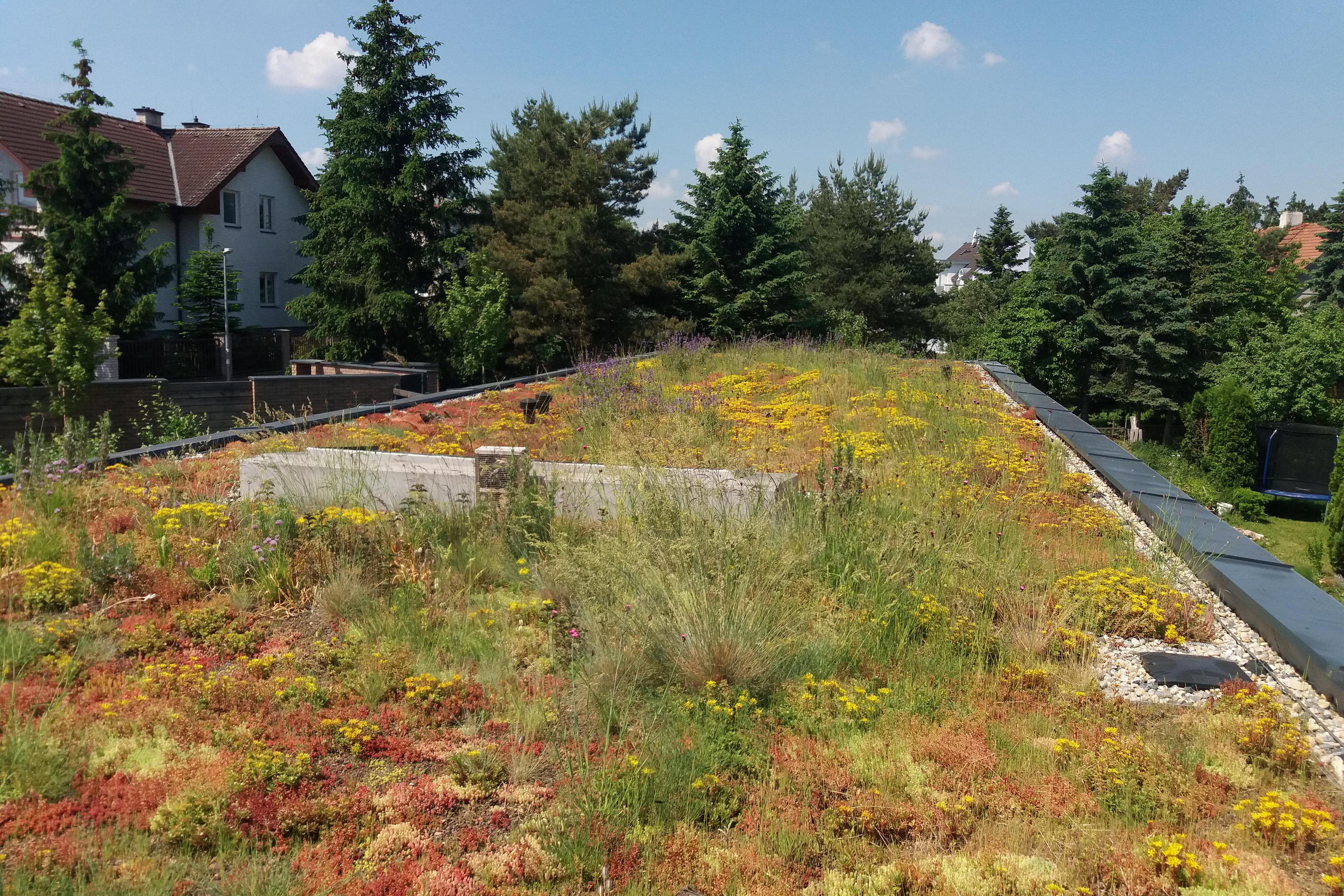 GreenVille - zelené střechy