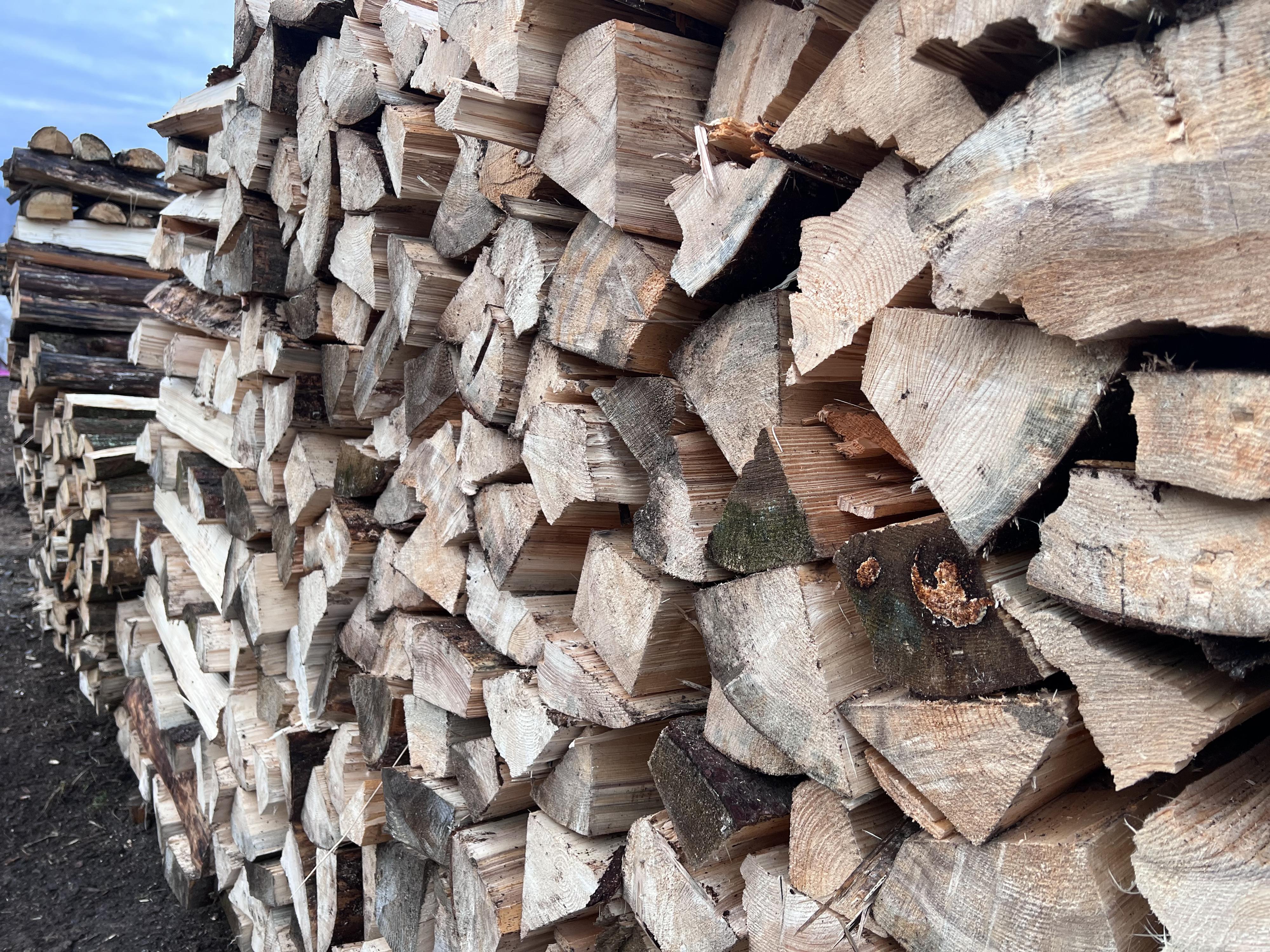 ASCO -  Michal Andrys foto 6