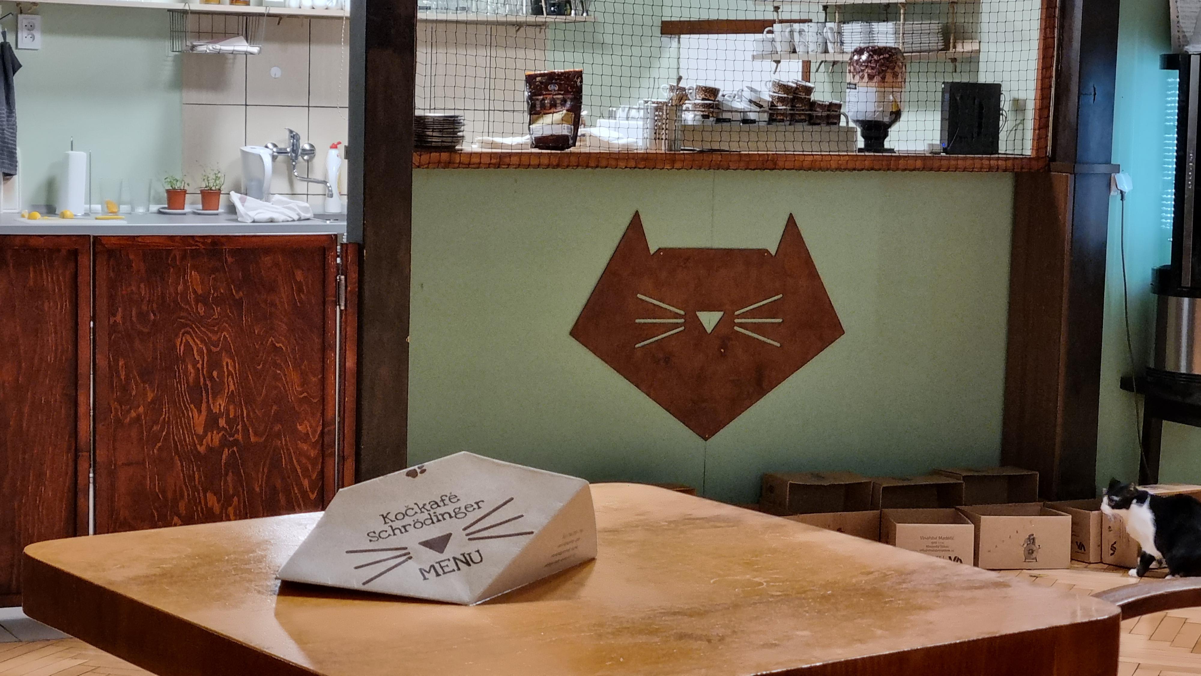 Kočkafé Schrödinger