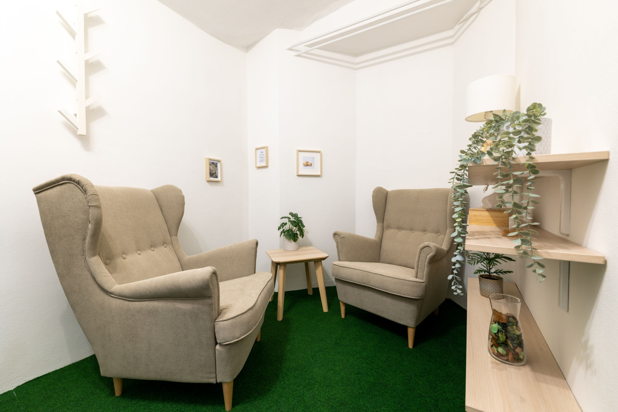 Pronájem místnosti/koučovny Kiwi