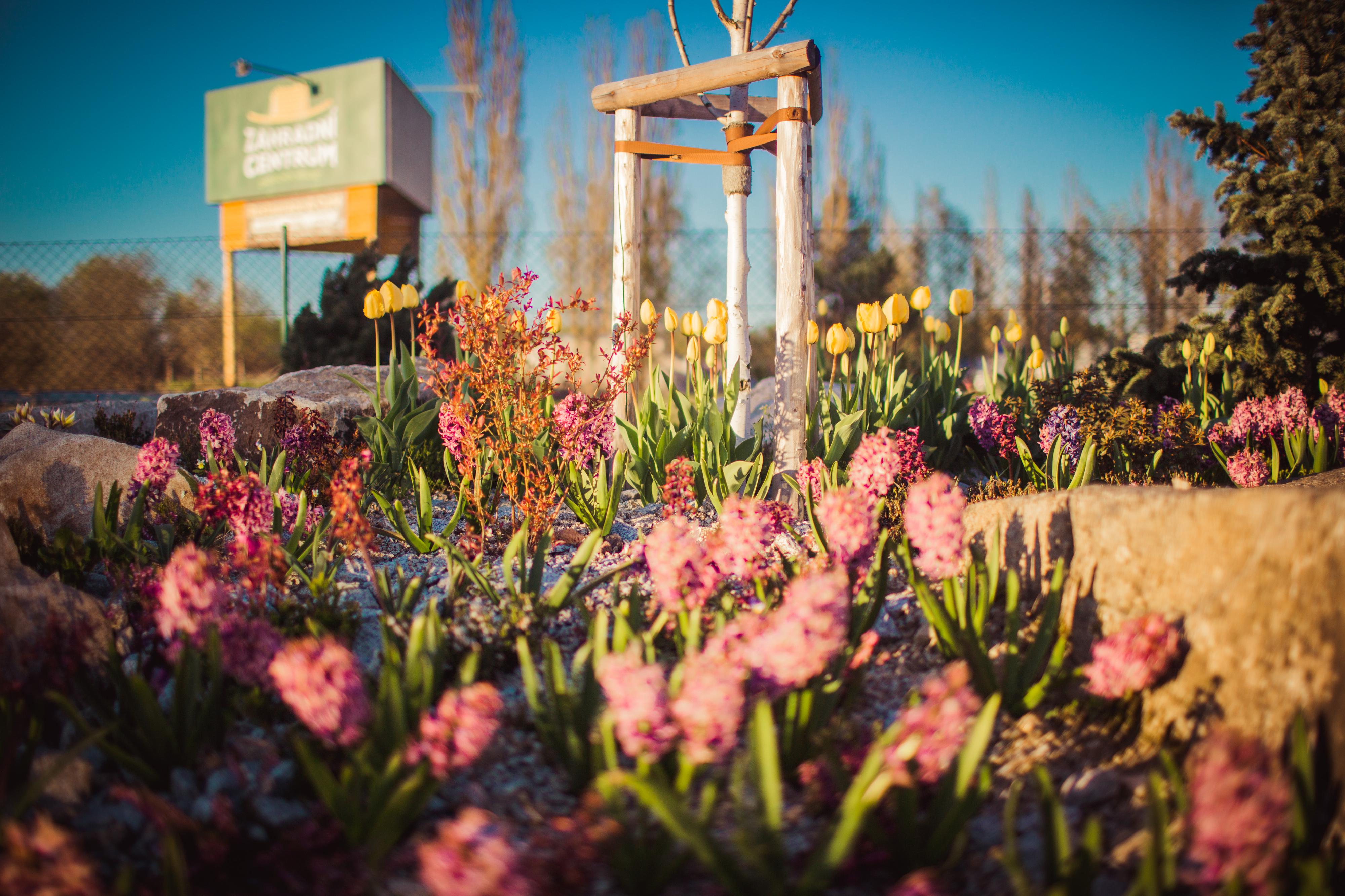 Zahradní centrum Jindřichův Hradec foto 6