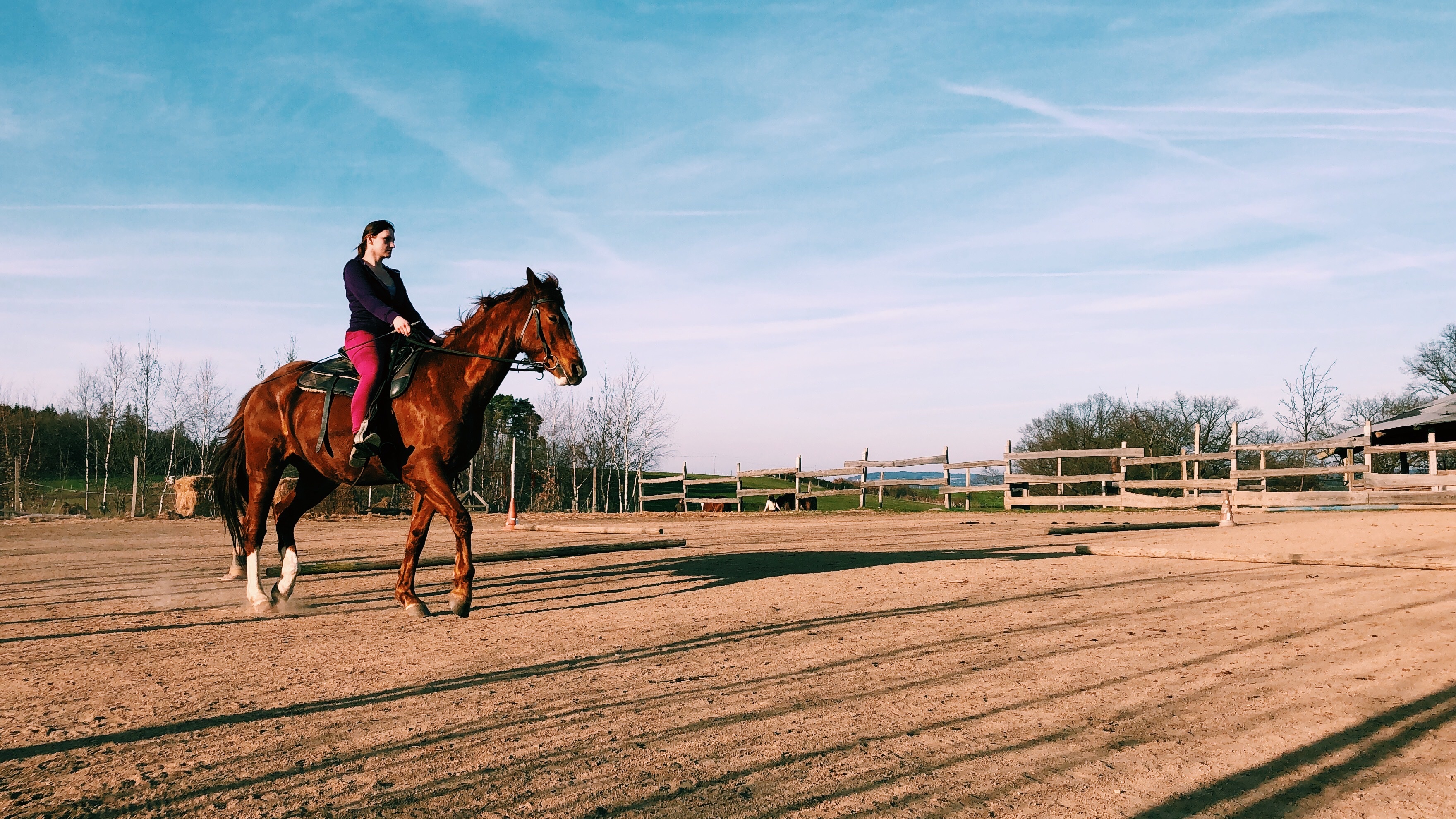 Hiporehabilitace Calamity Jane z.s.