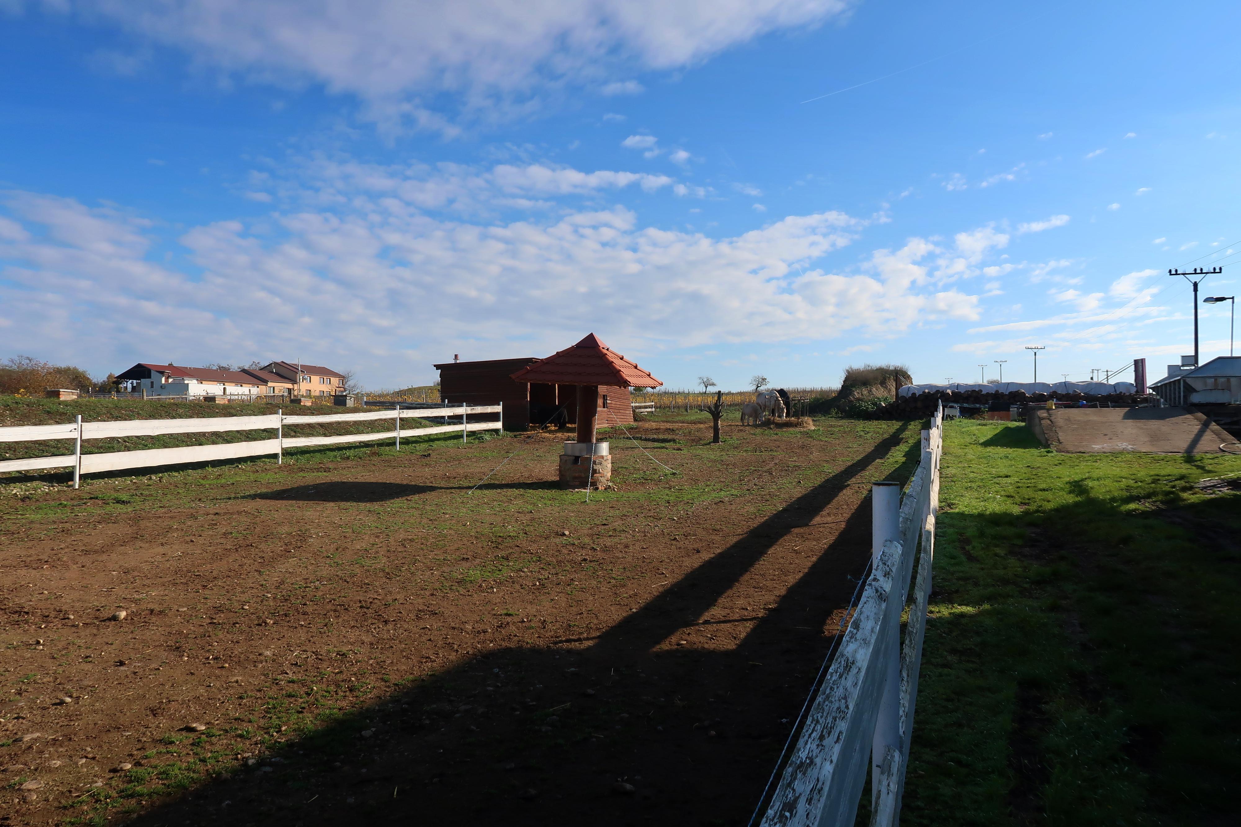 Kemp Novosedly foto 5