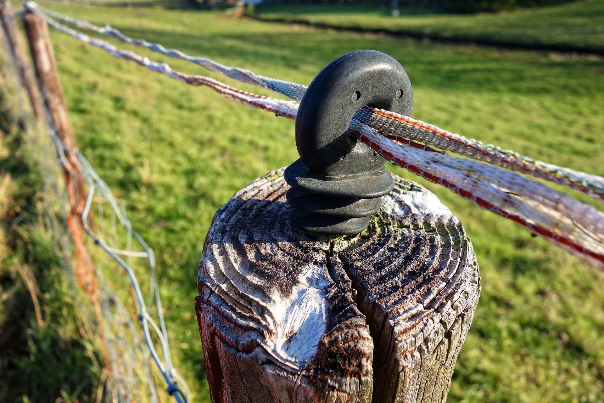 Chytrý Proud CZ foto 2