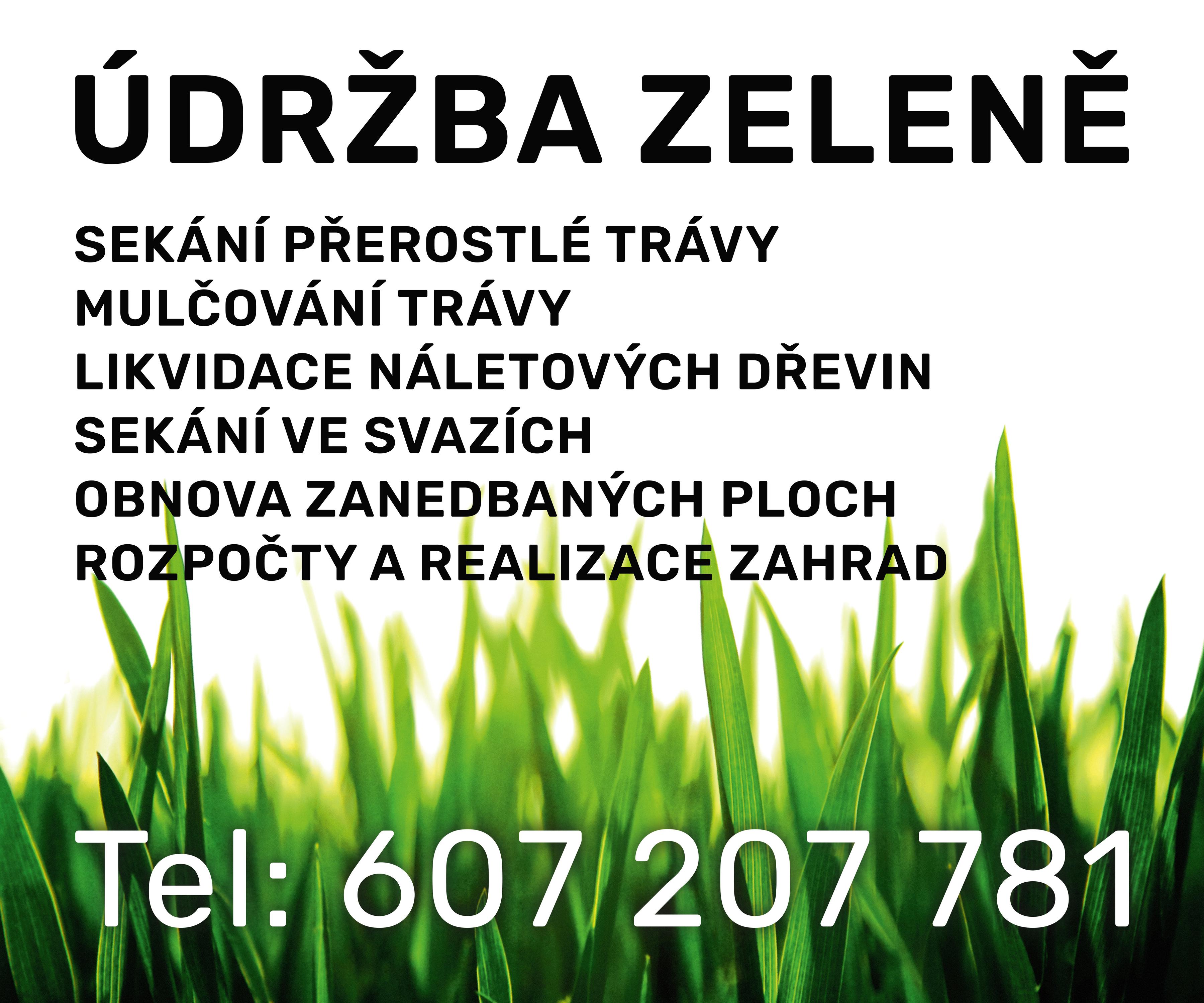 Údržba zeleně Marek Divíšek foto 3