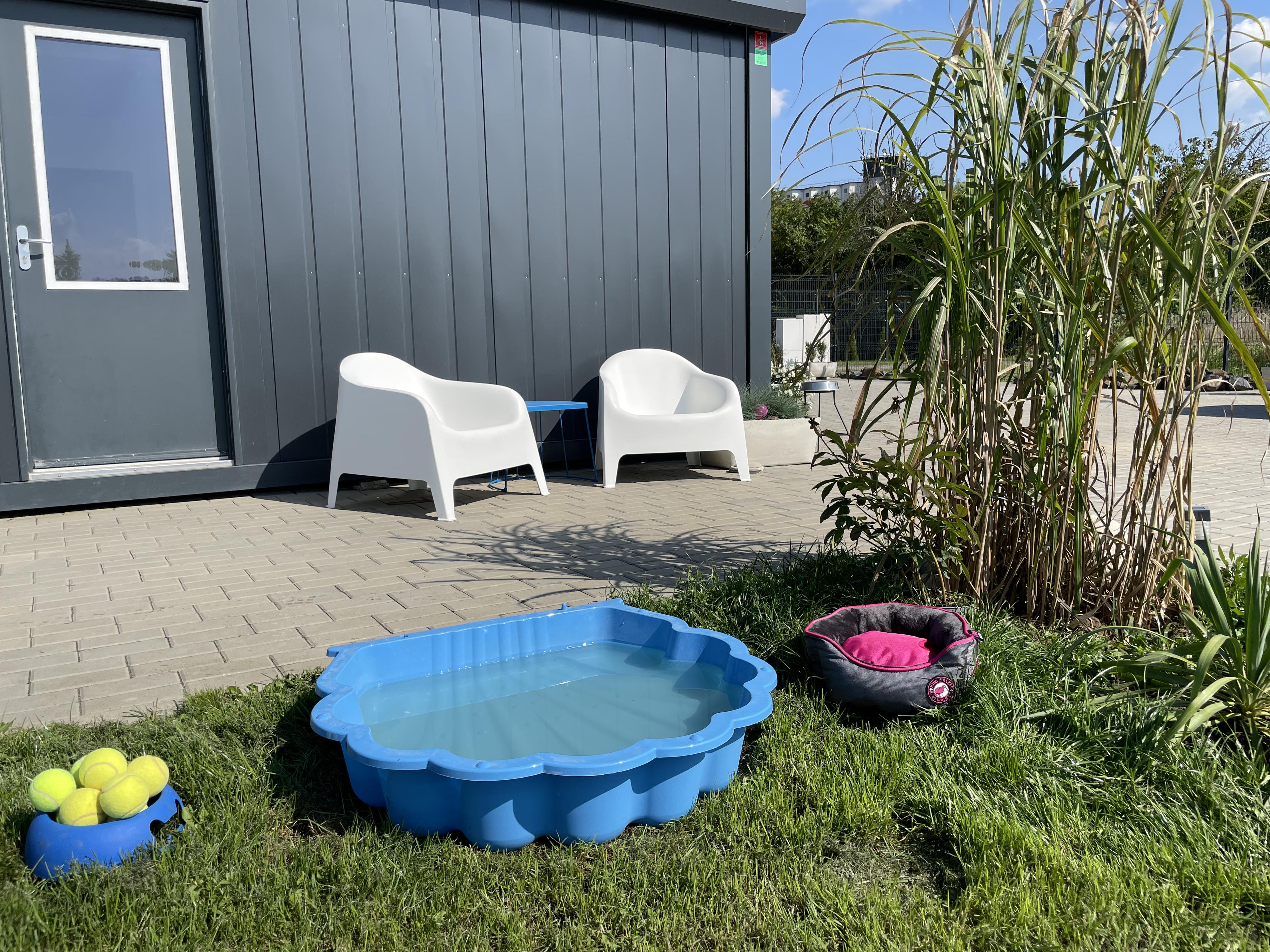 EASTWIND DOG CENTER foto 4