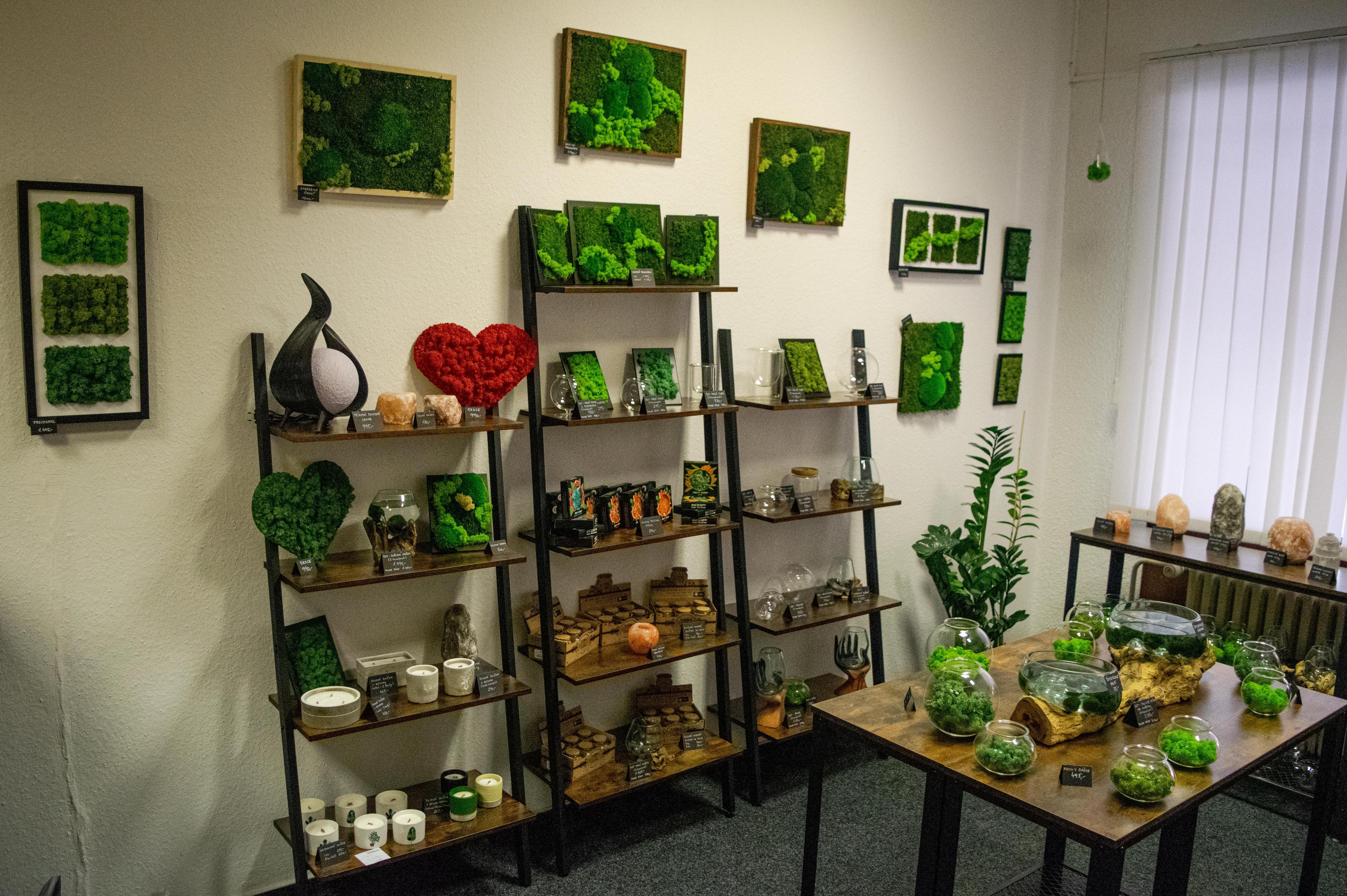 Řasokoule.eu - Mechová dílna