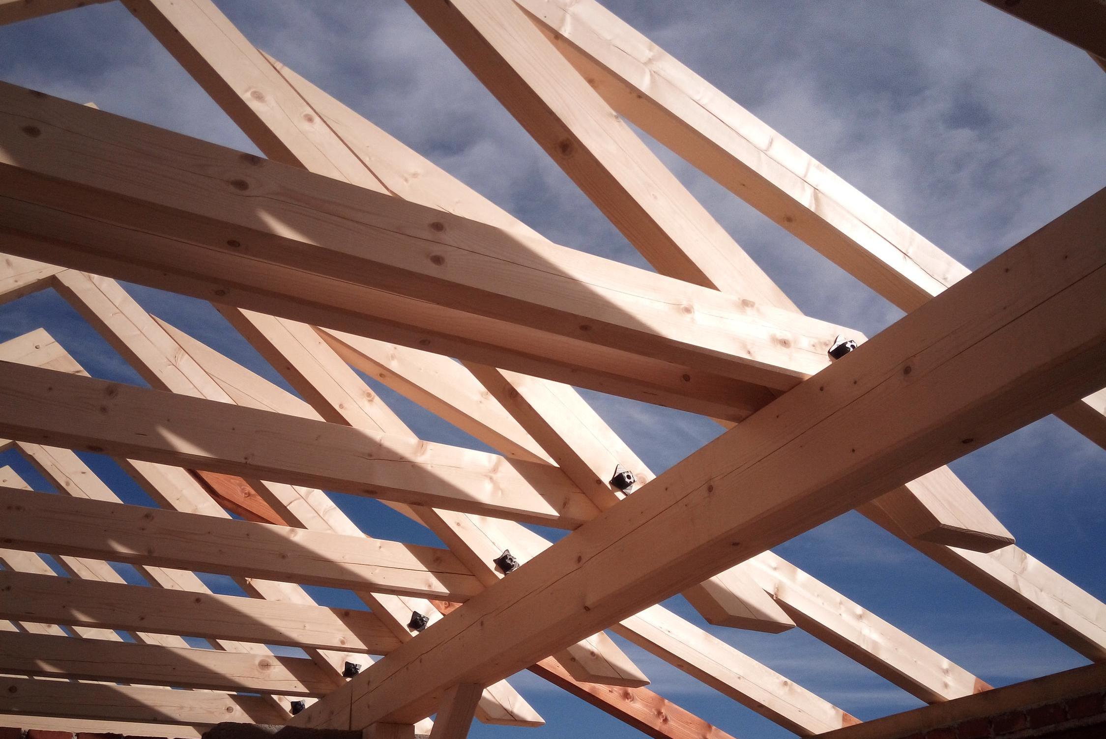 Petr Hosnedl - tesařské práce