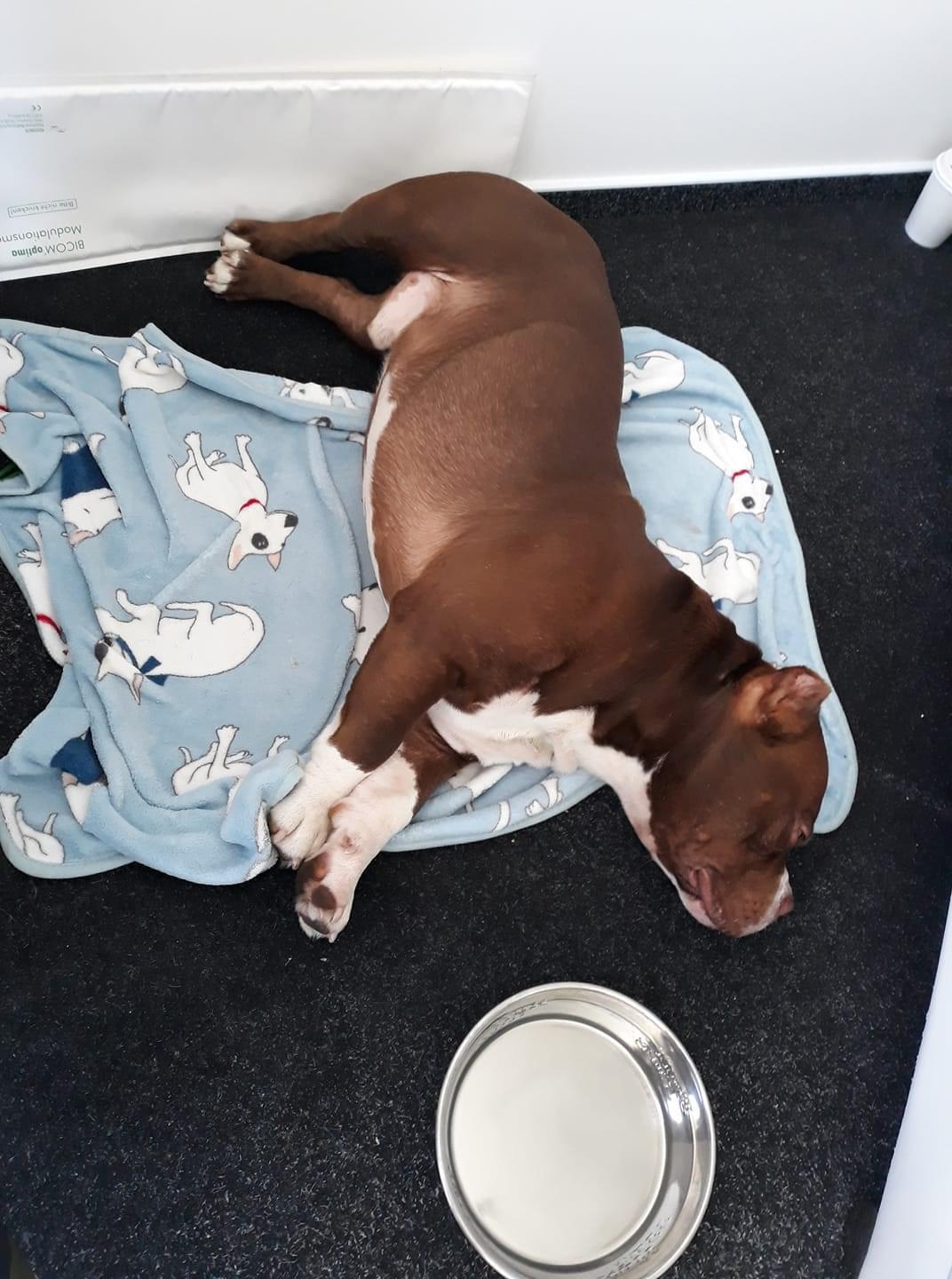 Vaše BIOREZONANCE.cz foto 5