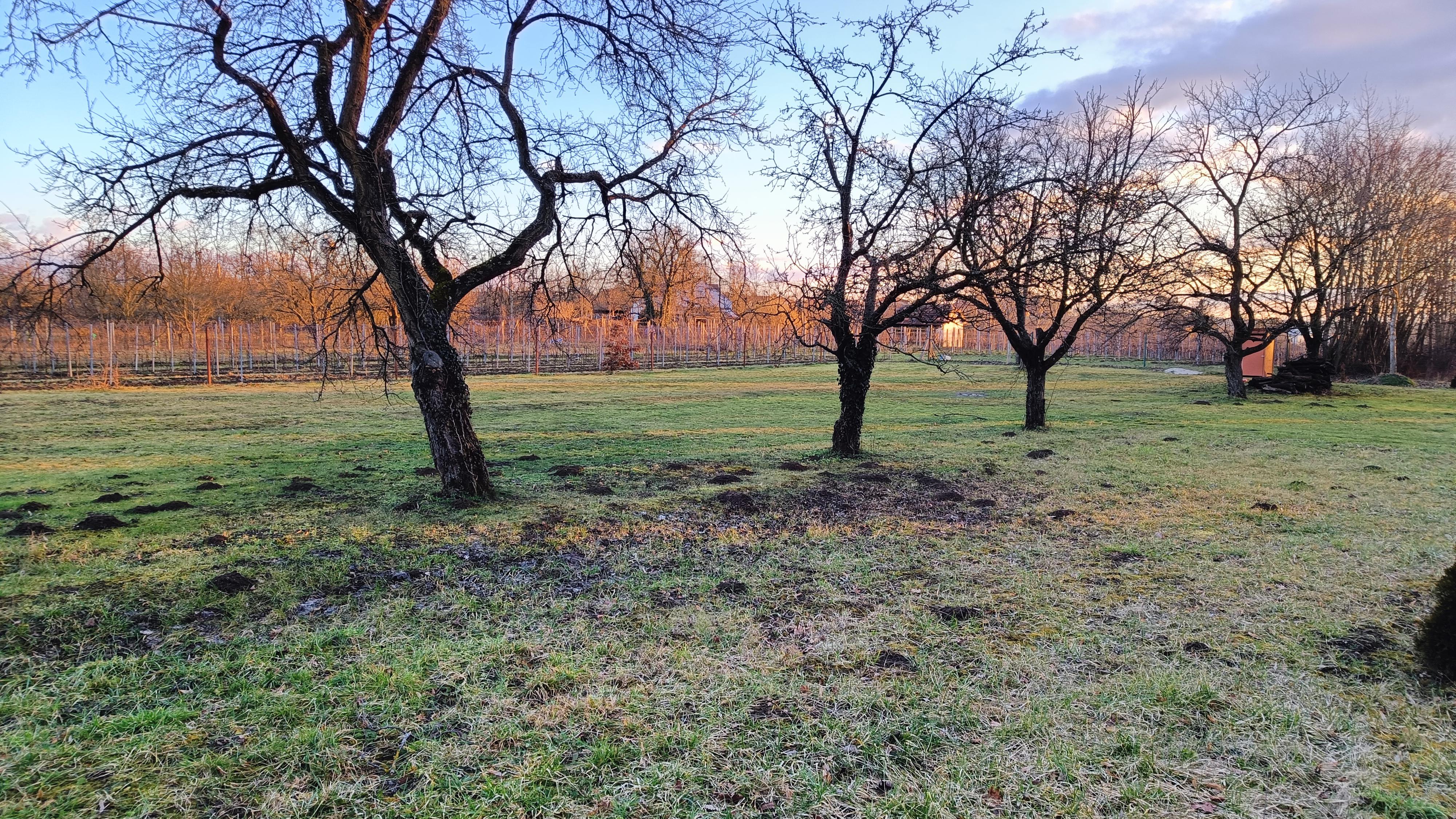 Stellplatz Valtice foto 1