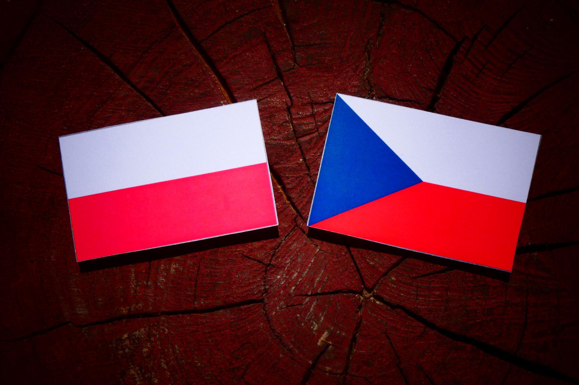 Roksana Danuta Mitrengová