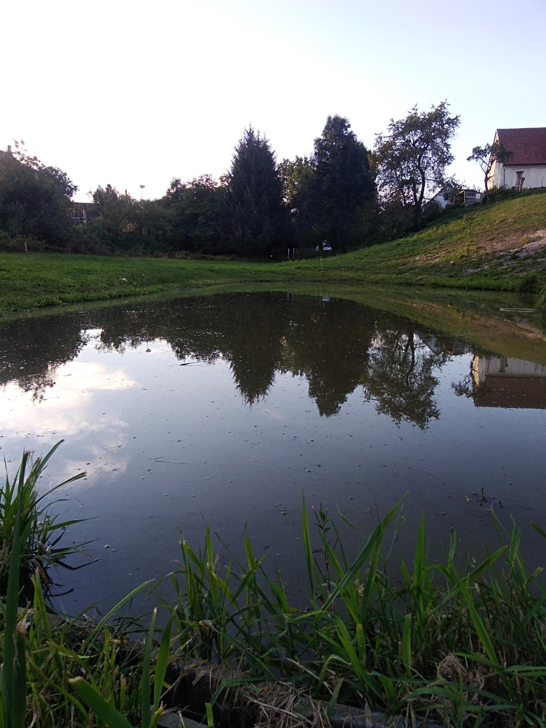 Prodej ryb Švec foto 2