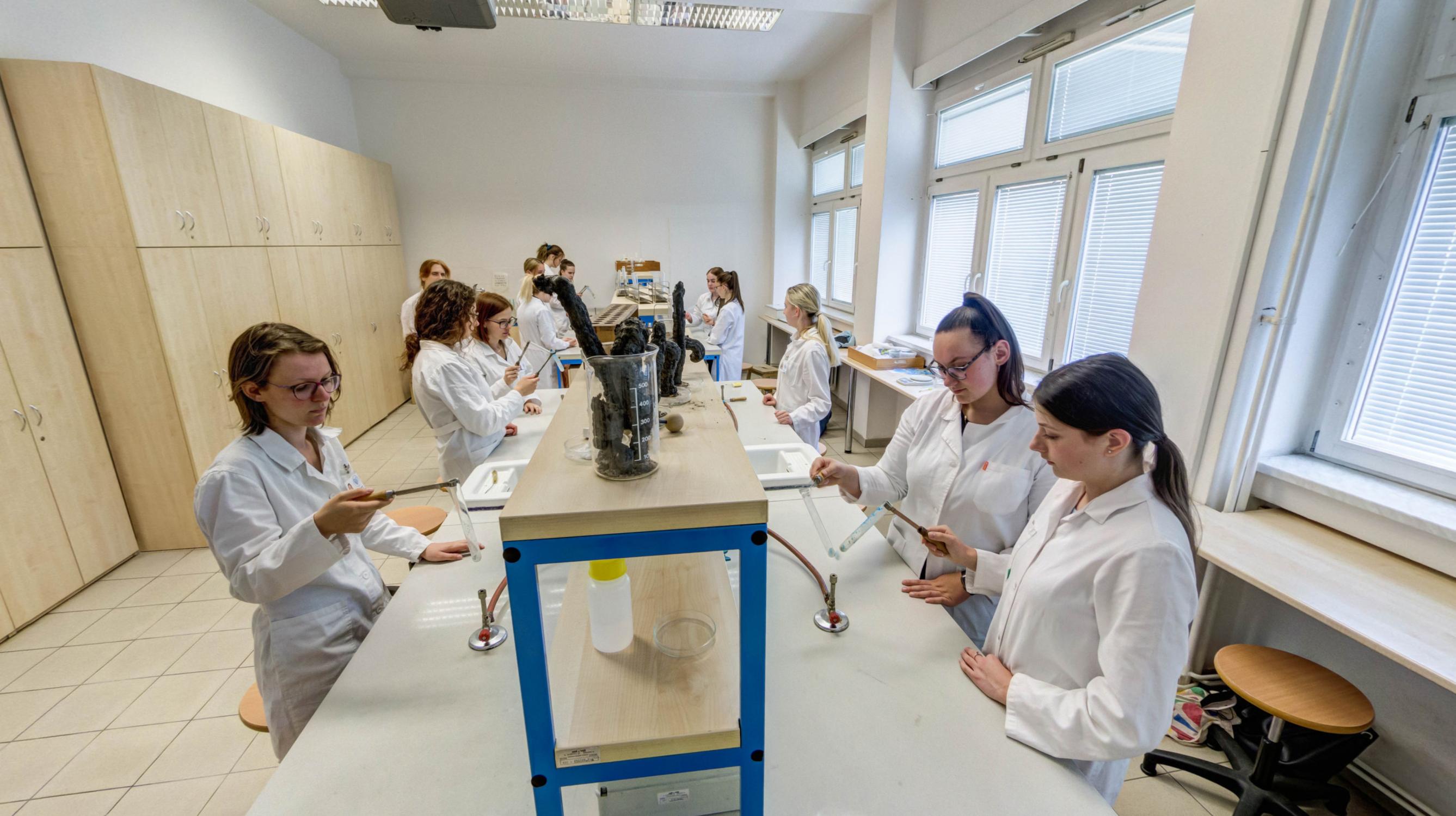 Vyšší odborná škola zdravotnická a Střední zdravotnická škola foto 6