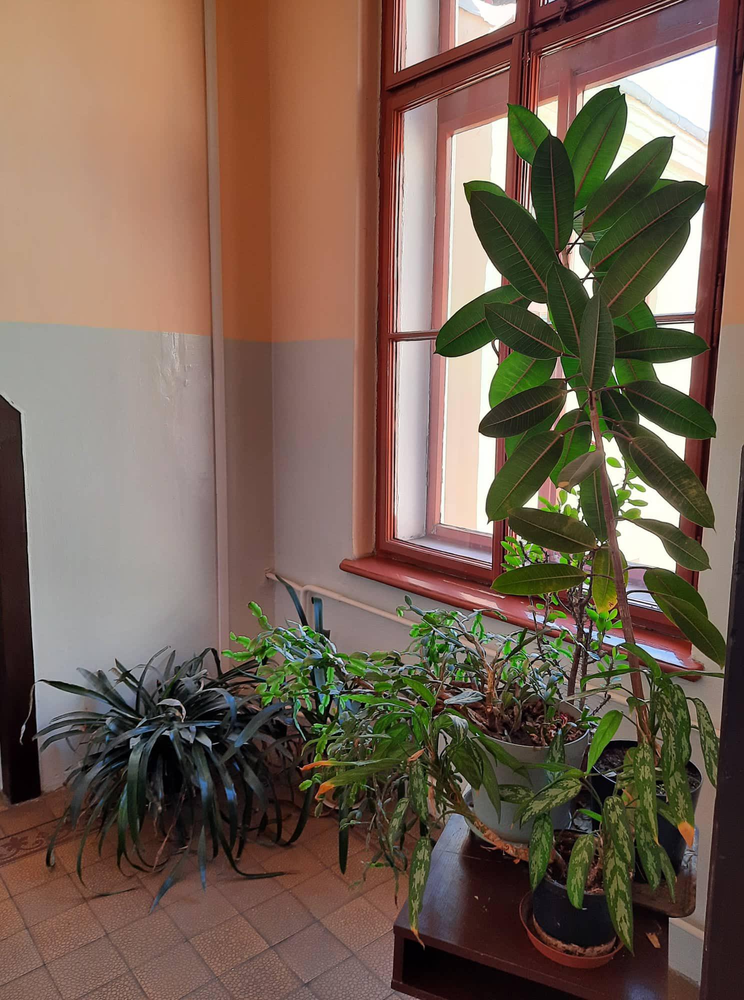 Krajské centrum vzdělávání Plzeň foto 5