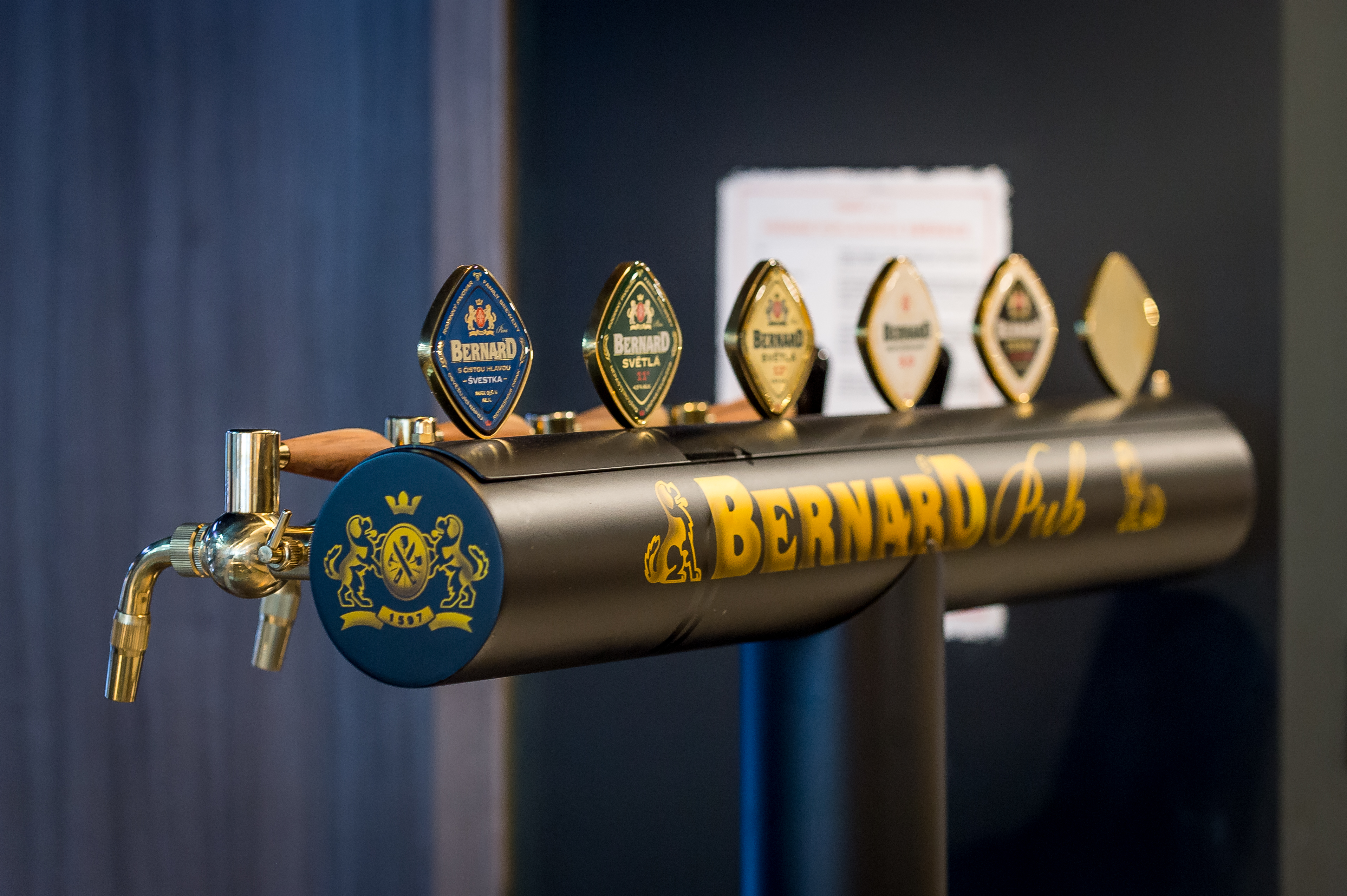 BERNARD PUB U Viktora foto 4