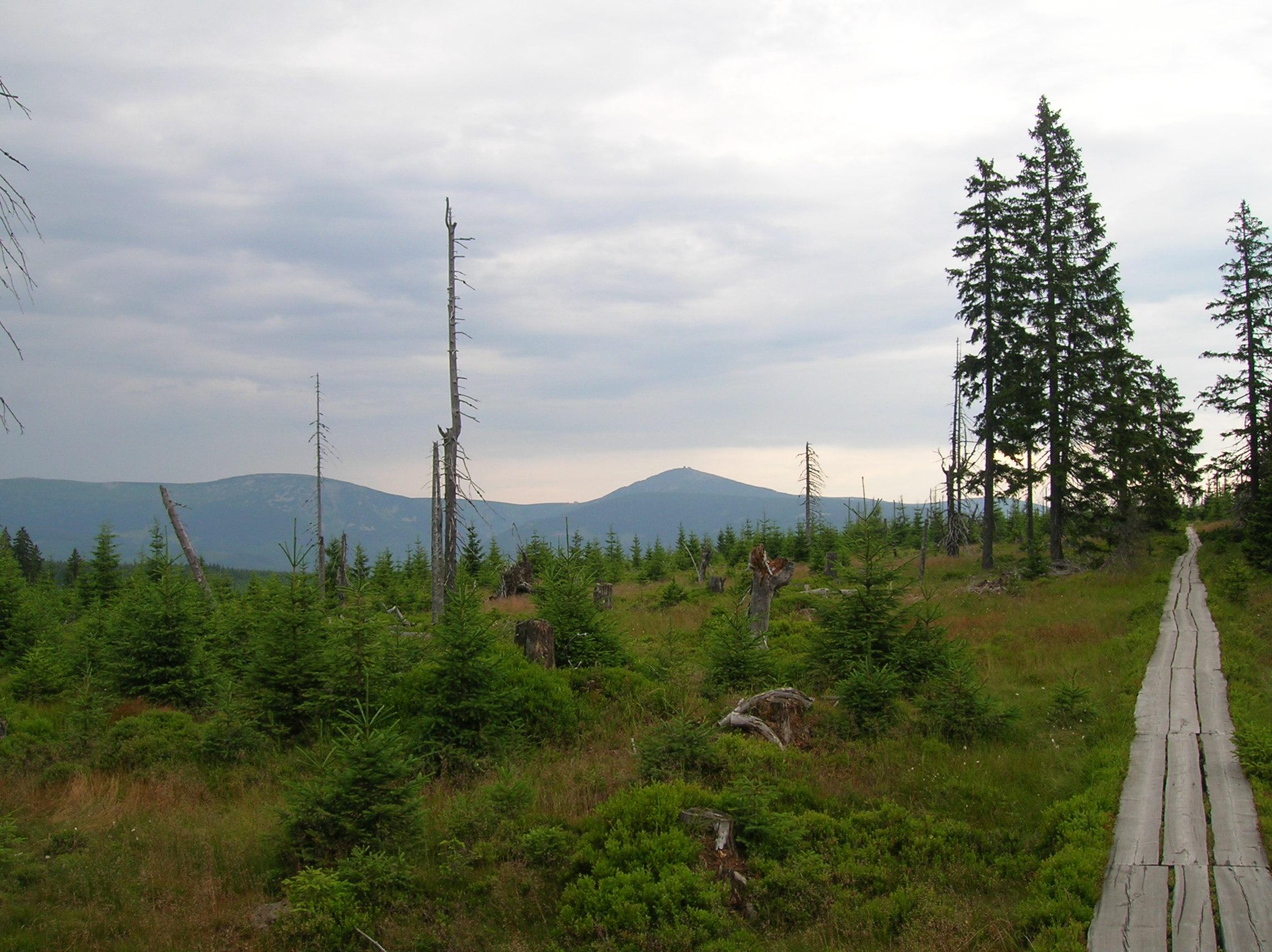 Hotel Černá Bouda foto 6