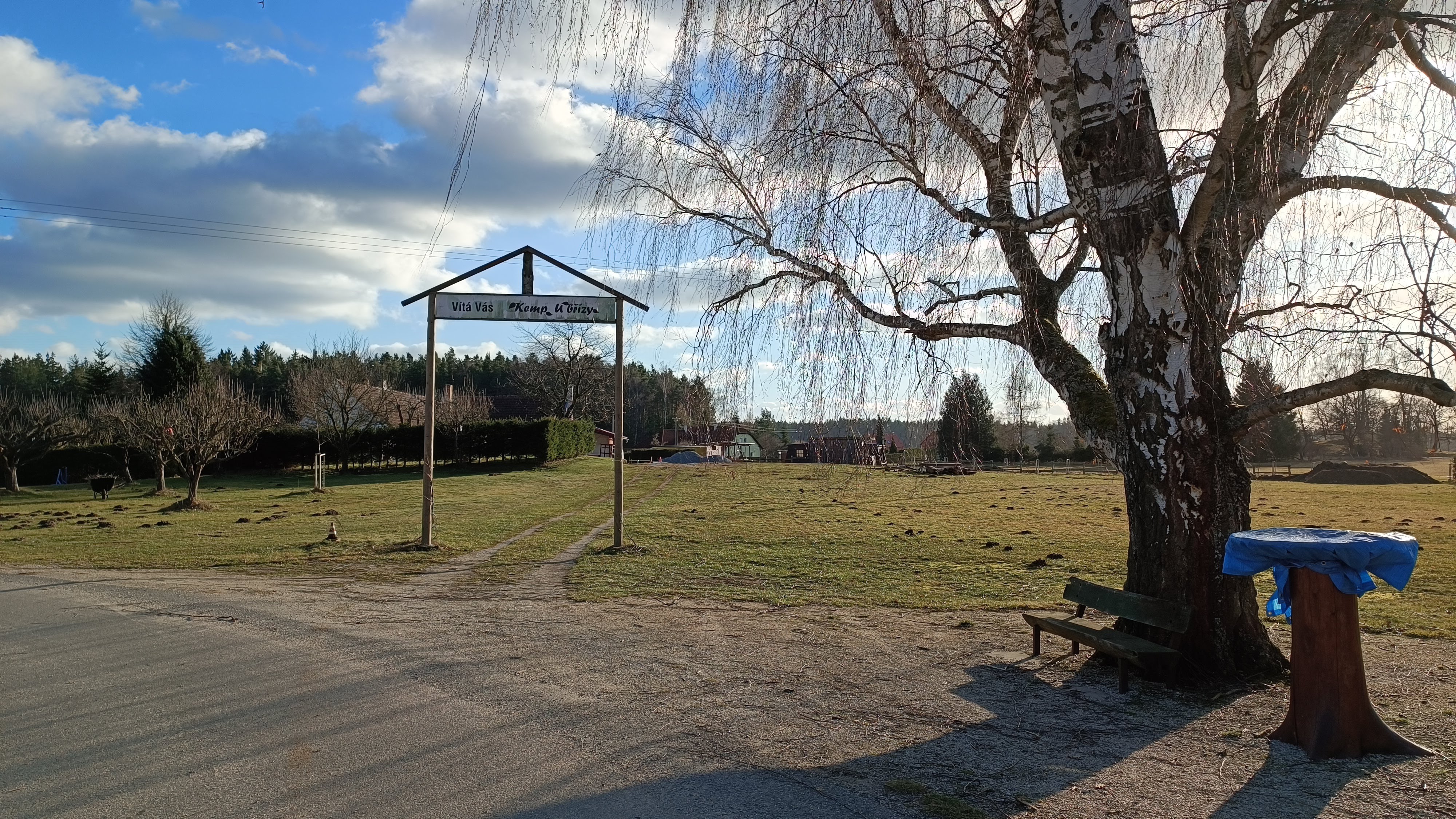 Kemp u břízy foto 2