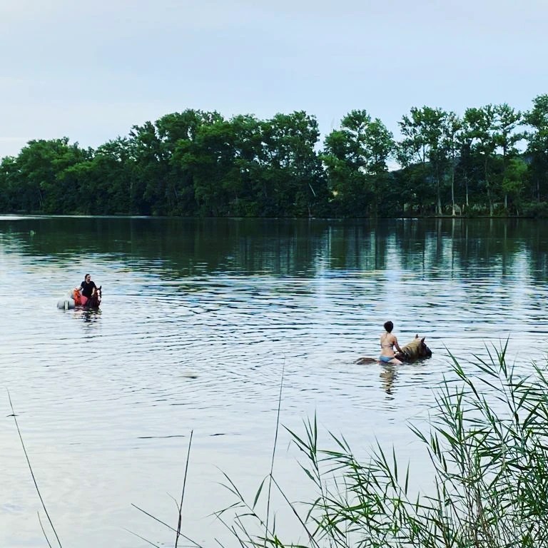 Ustájení koní - U jezera foto 2