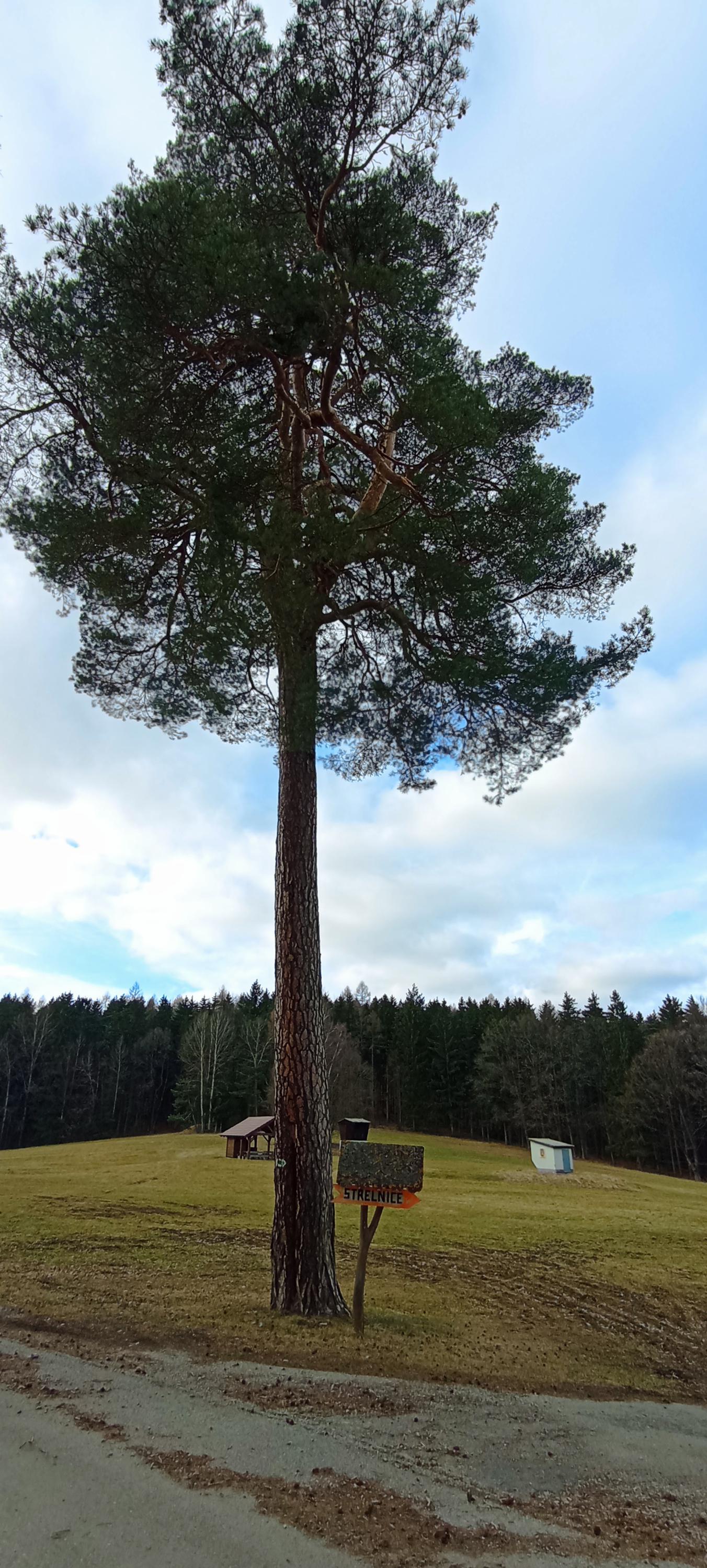 Lovecká střelnice Provazce foto 3