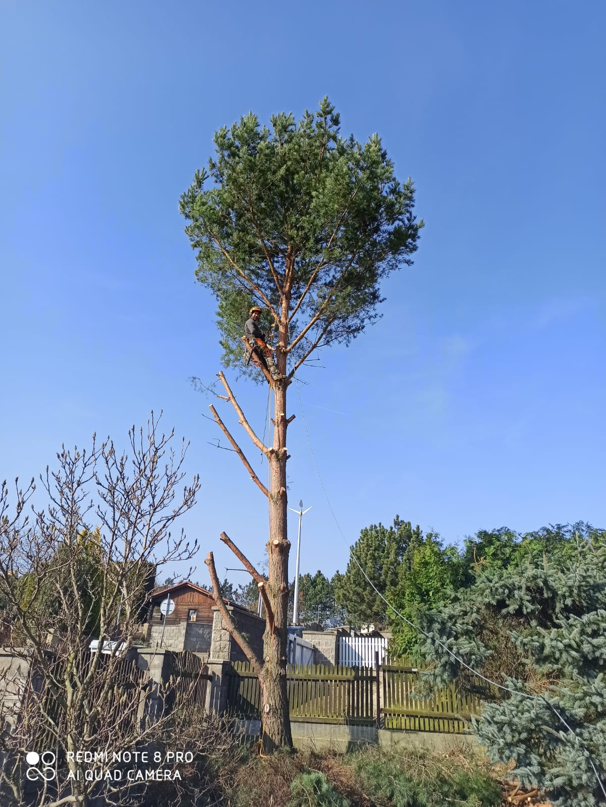 Rizikové kácení - Minkovič foto 6