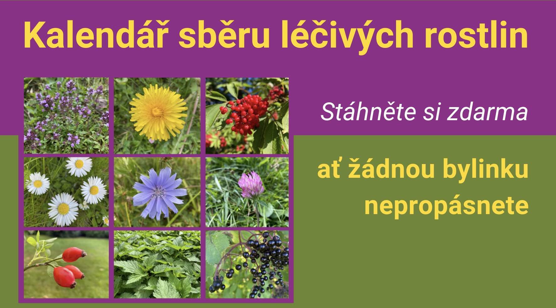 Kapka vitality - Ing. Jolana Bieliková foto 3