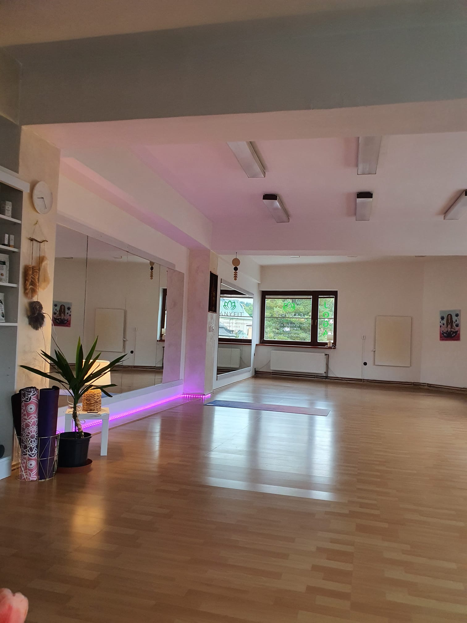 FanyFit Studio Pohybu foto 2